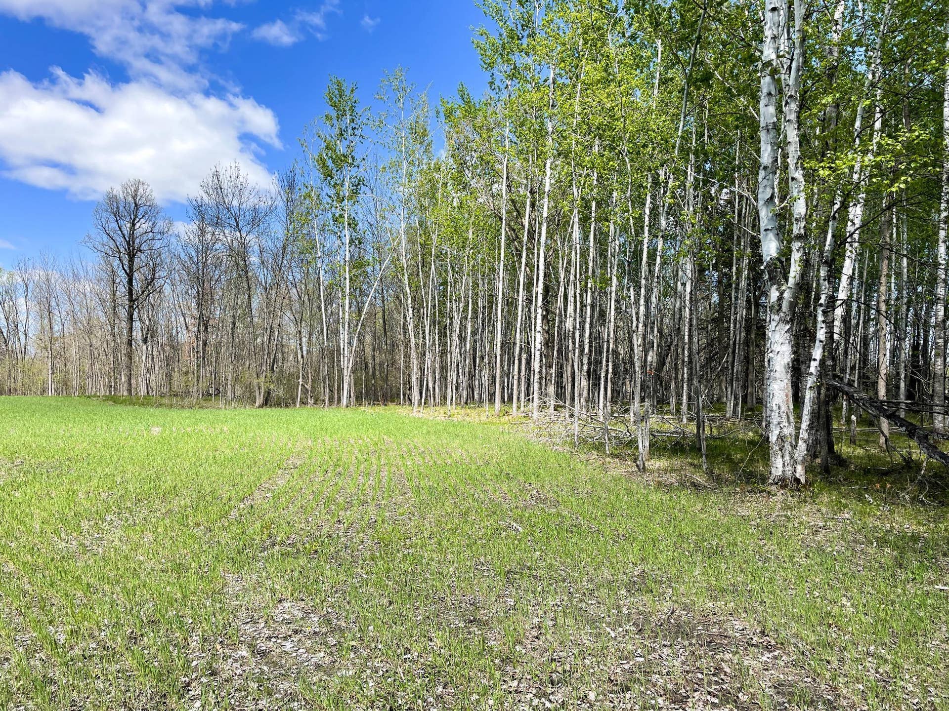 TBD 15th Street NW, Bemidji, MN 56601 IMG_2697.JPG