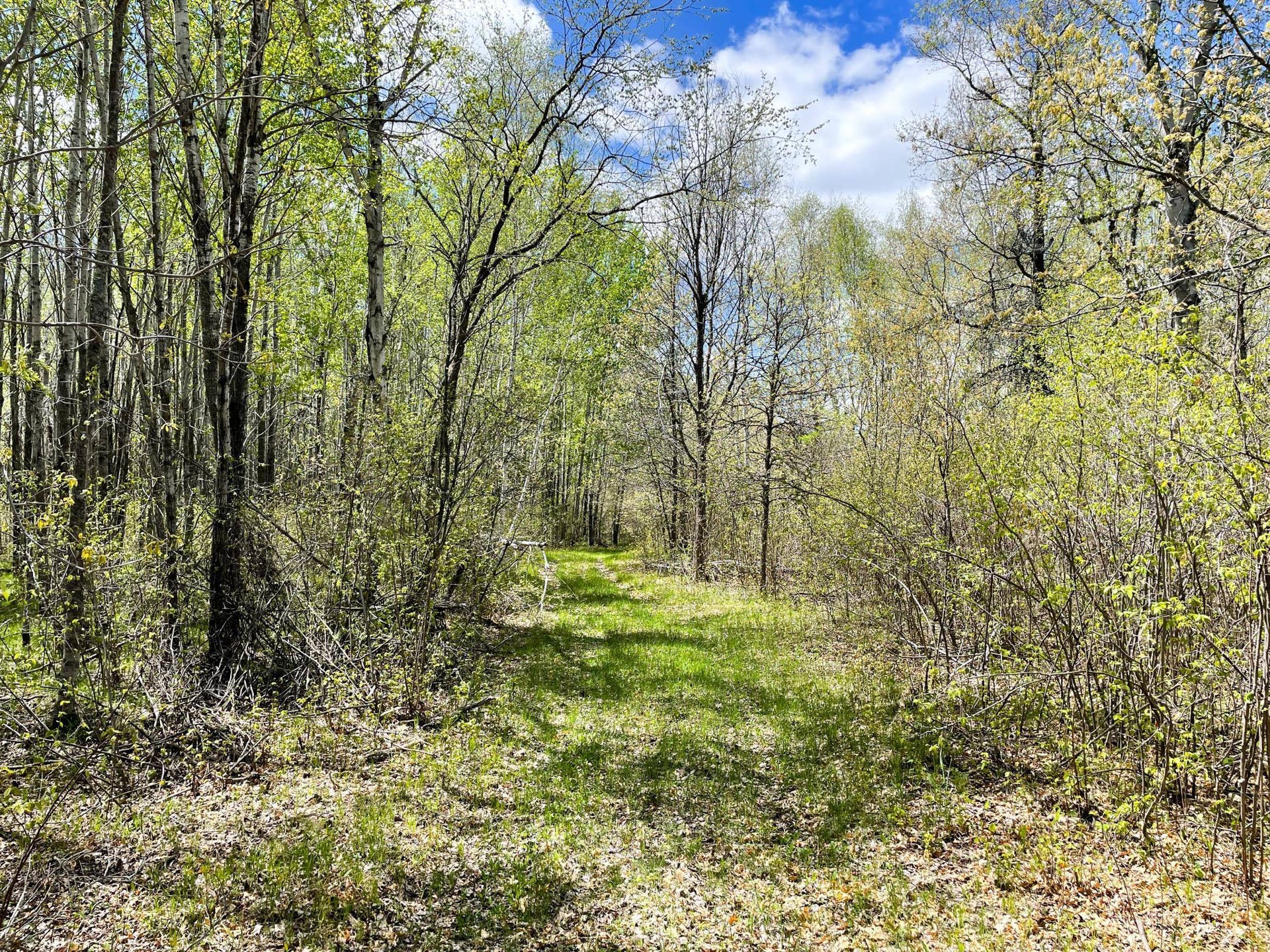 TBD 15th Street NW, Bemidji, MN 56601 IMG_2676.JPG