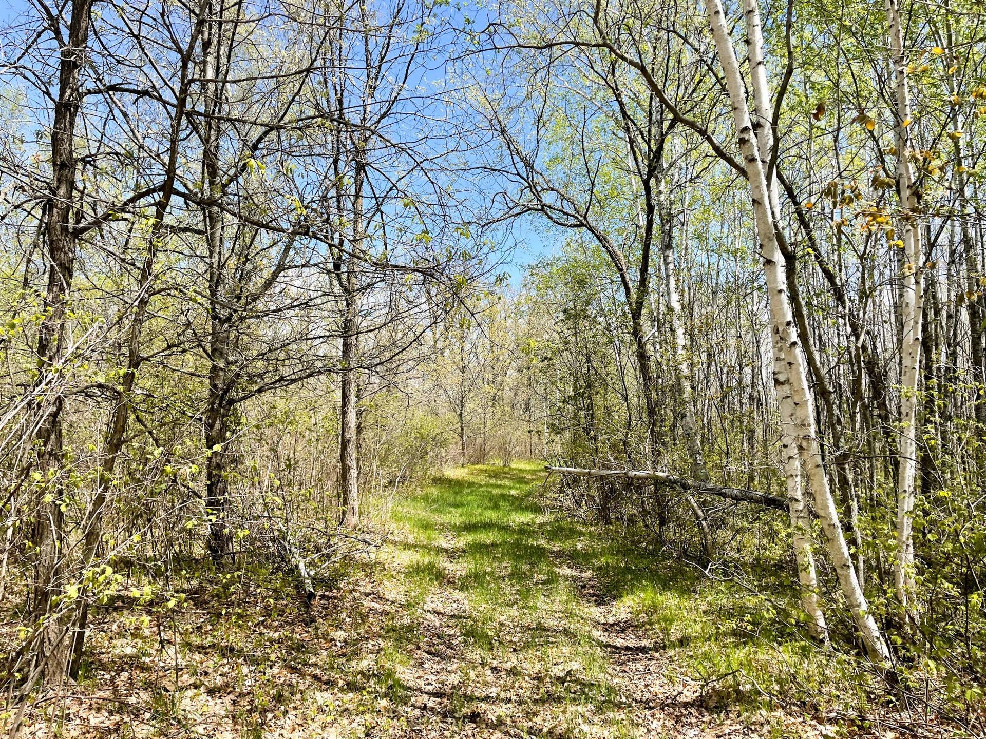 TBD 15th Street NW, Bemidji, MN 56601 IMG_2675.JPG
