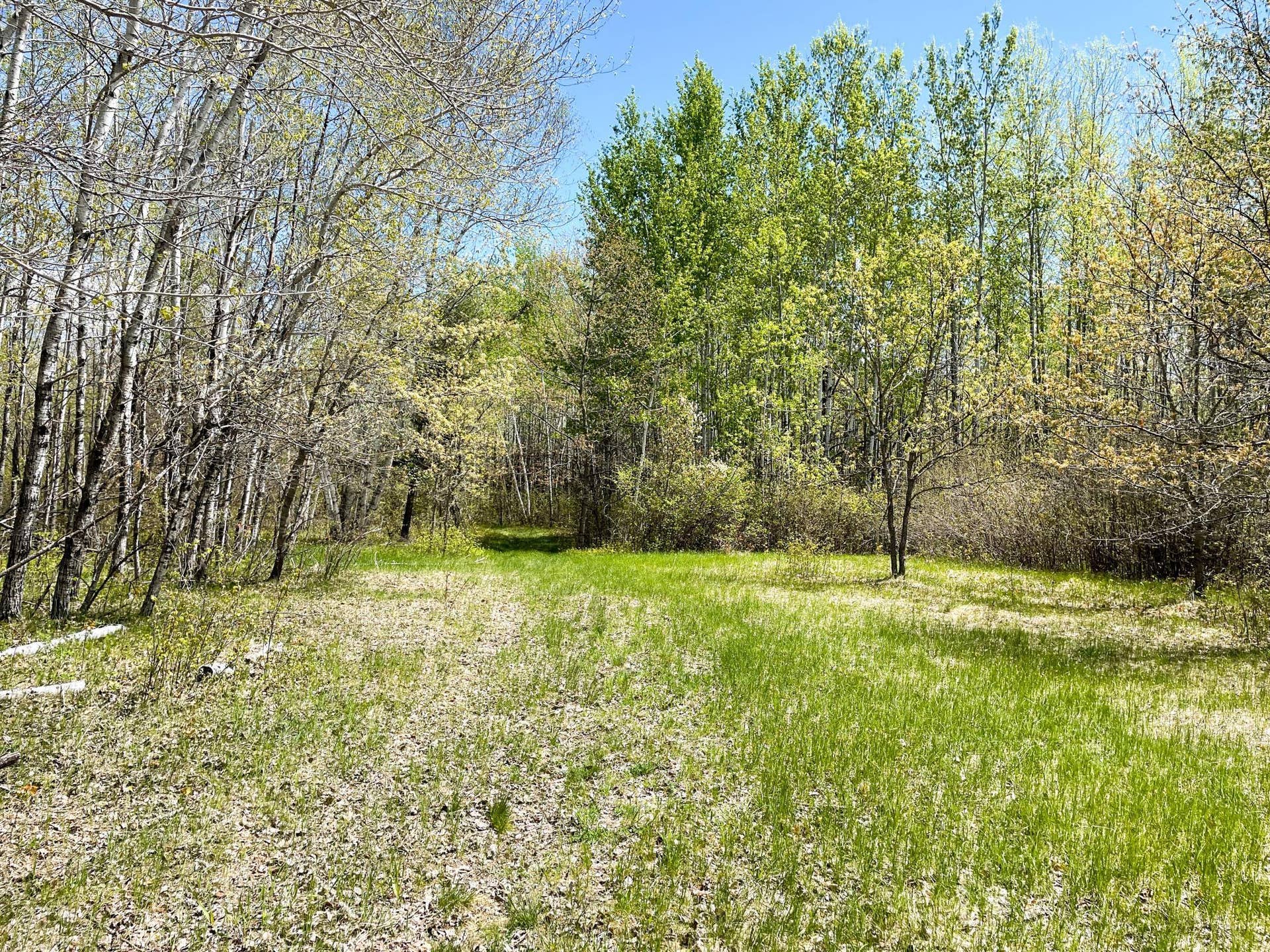 TBD 15th Street NW, Bemidji, MN 56601 IMG_2674.JPG