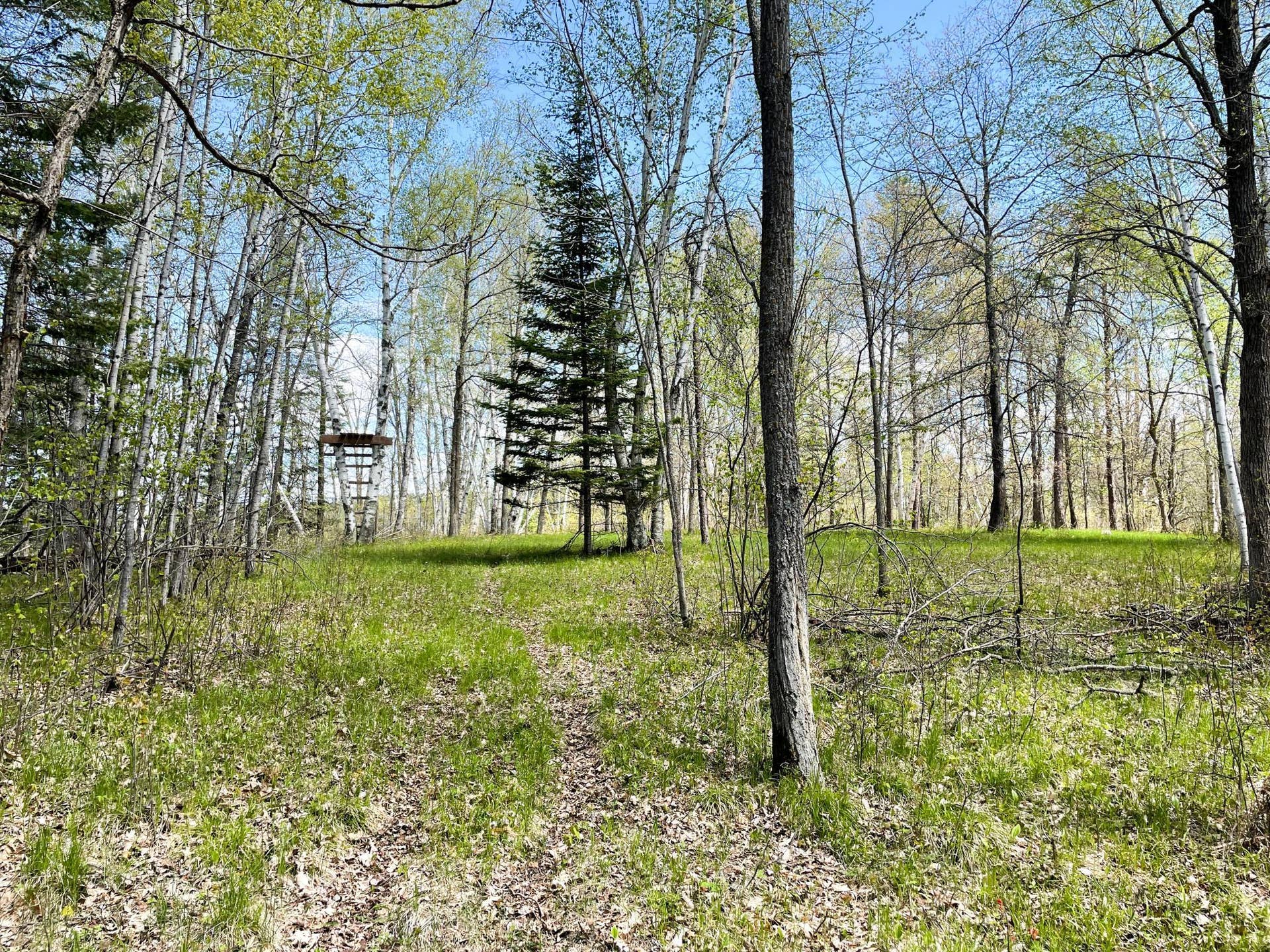 TBD 15th Street NW, Bemidji, MN 56601 IMG_2692.JPG