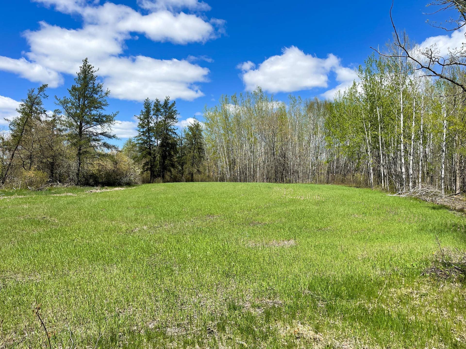 TBD 15th Street NW, Bemidji, MN 56601 1.JPG