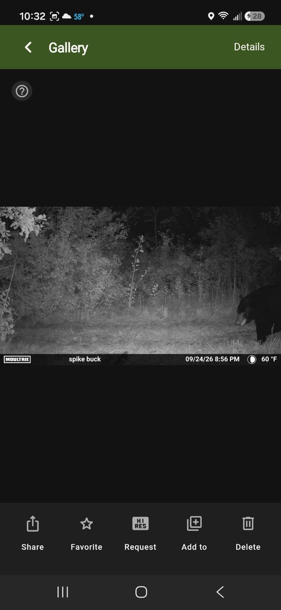 TBD 15th Street NW, Bemidji, MN 56601 1000009584.JPG
