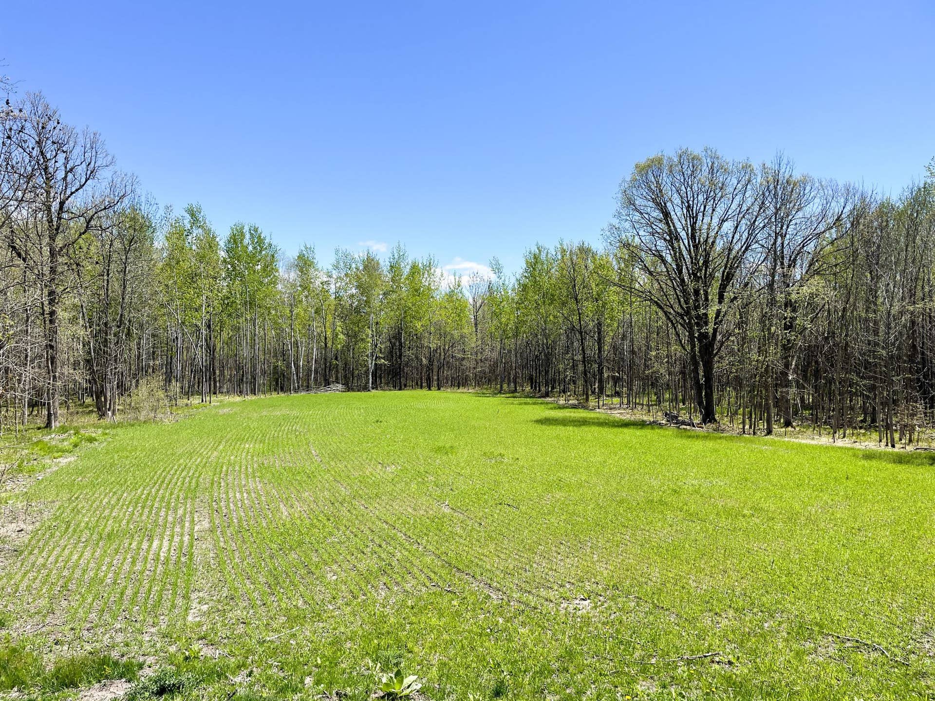 TBD 15th Street NW, Bemidji, MN 56601 4.JPG