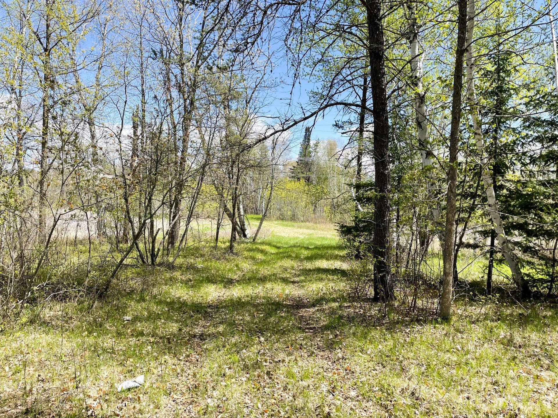 TBD 15th Street NW, Bemidji, MN 56601 IMG_2687.JPG