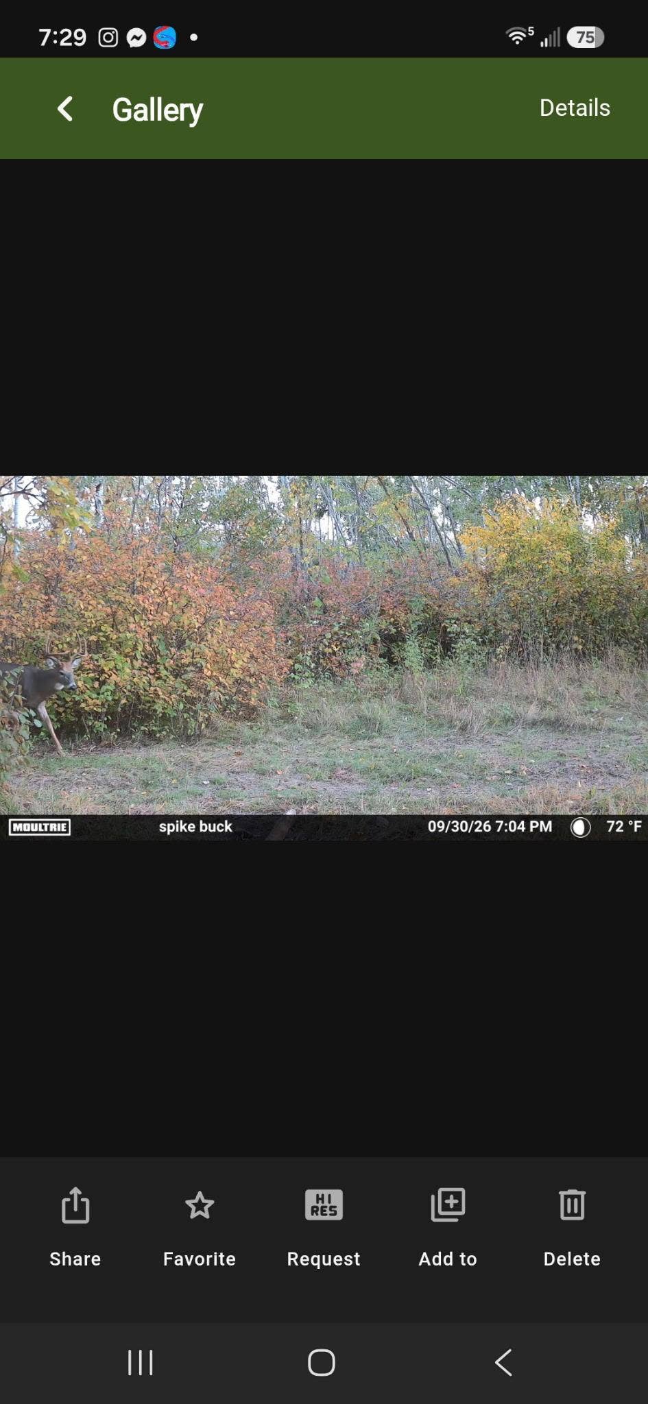 TBD 15th Street NW, Bemidji, MN 56601 1000009681.JPG