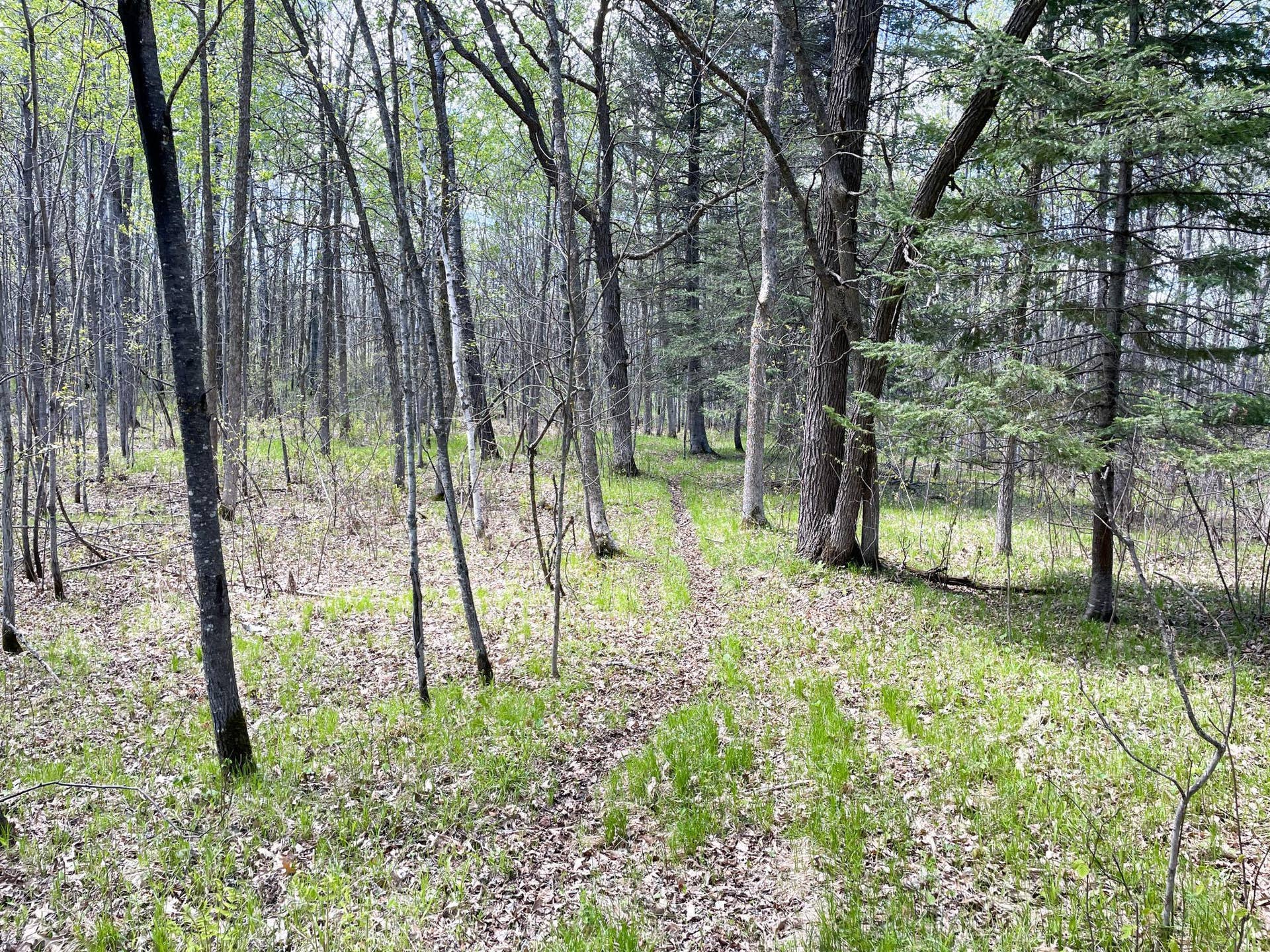 TBD 15th Street NW, Bemidji, MN 56601 IMG_2691.JPG