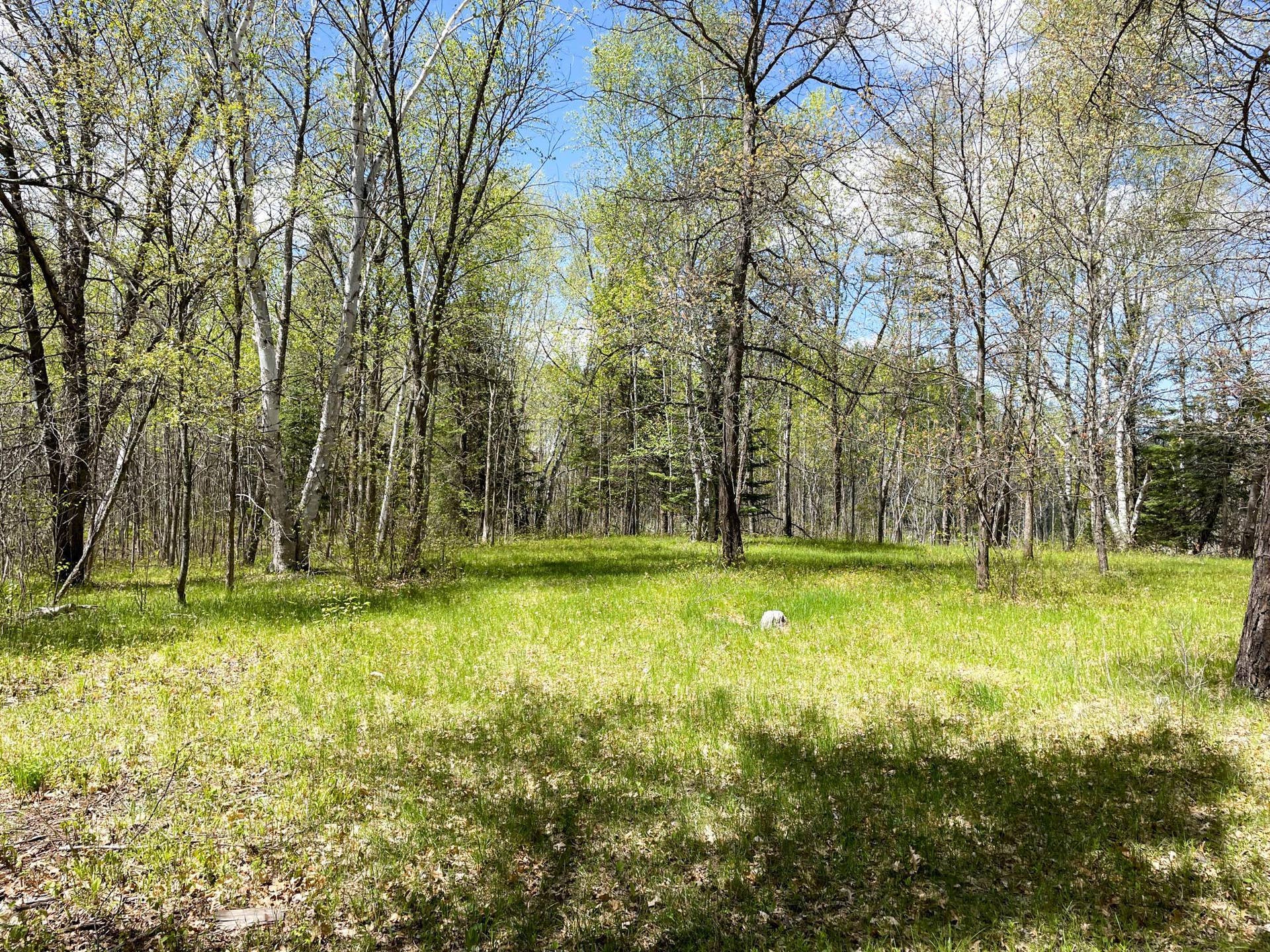 TBD 15th Street NW, Bemidji, MN 56601 IMG_2686.JPG