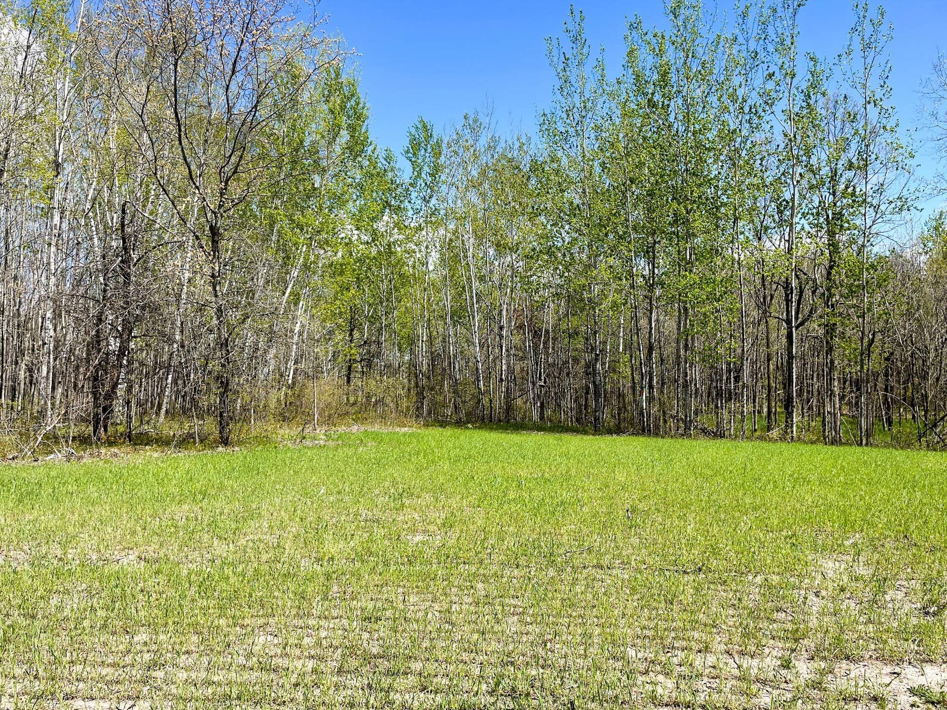 TBD 15th Street NW, Bemidji, MN 56601 IMG_2667.JPG