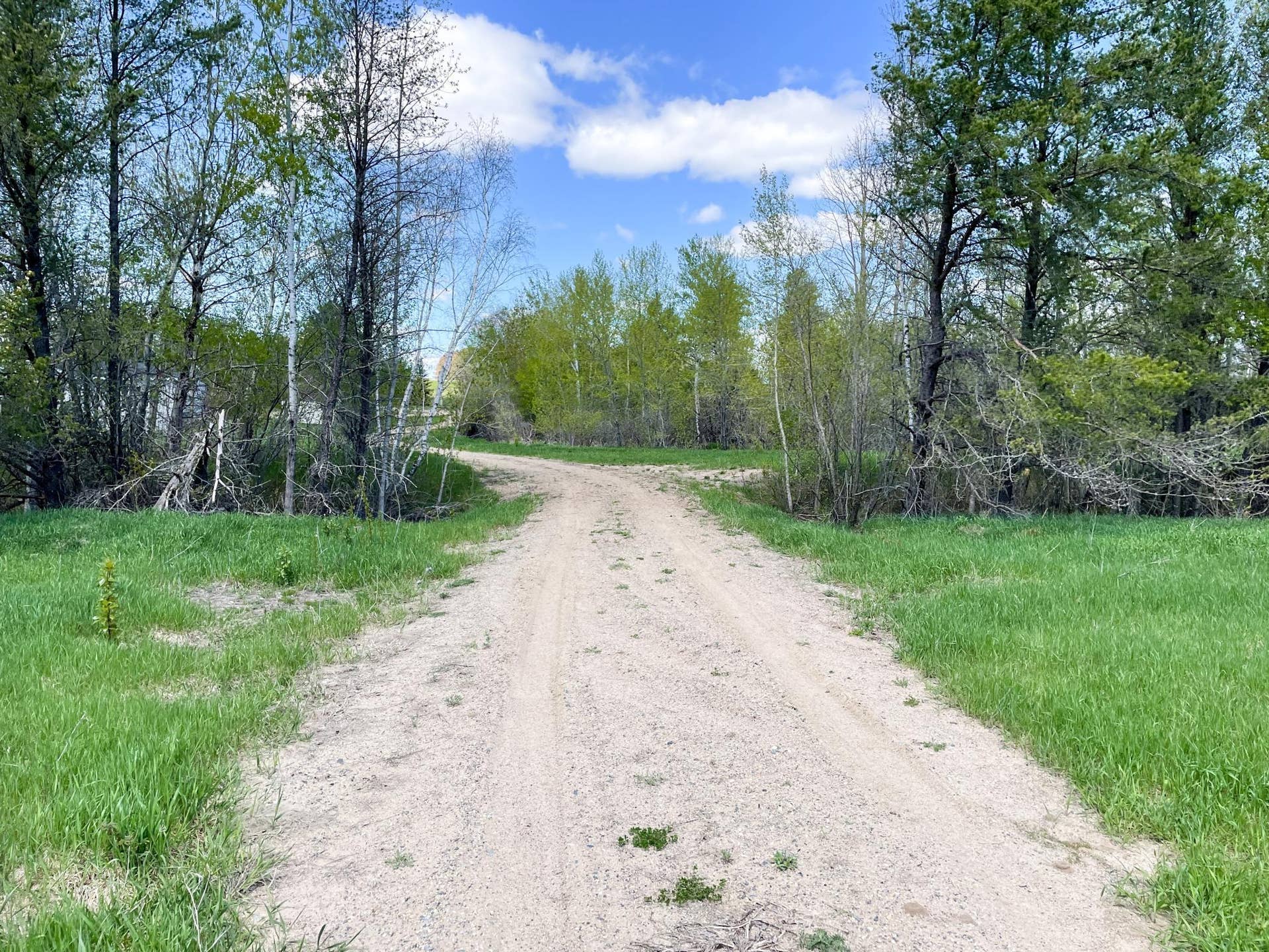 TBD 15th Street NW, Bemidji, MN 56601 IMG_2713.JPG