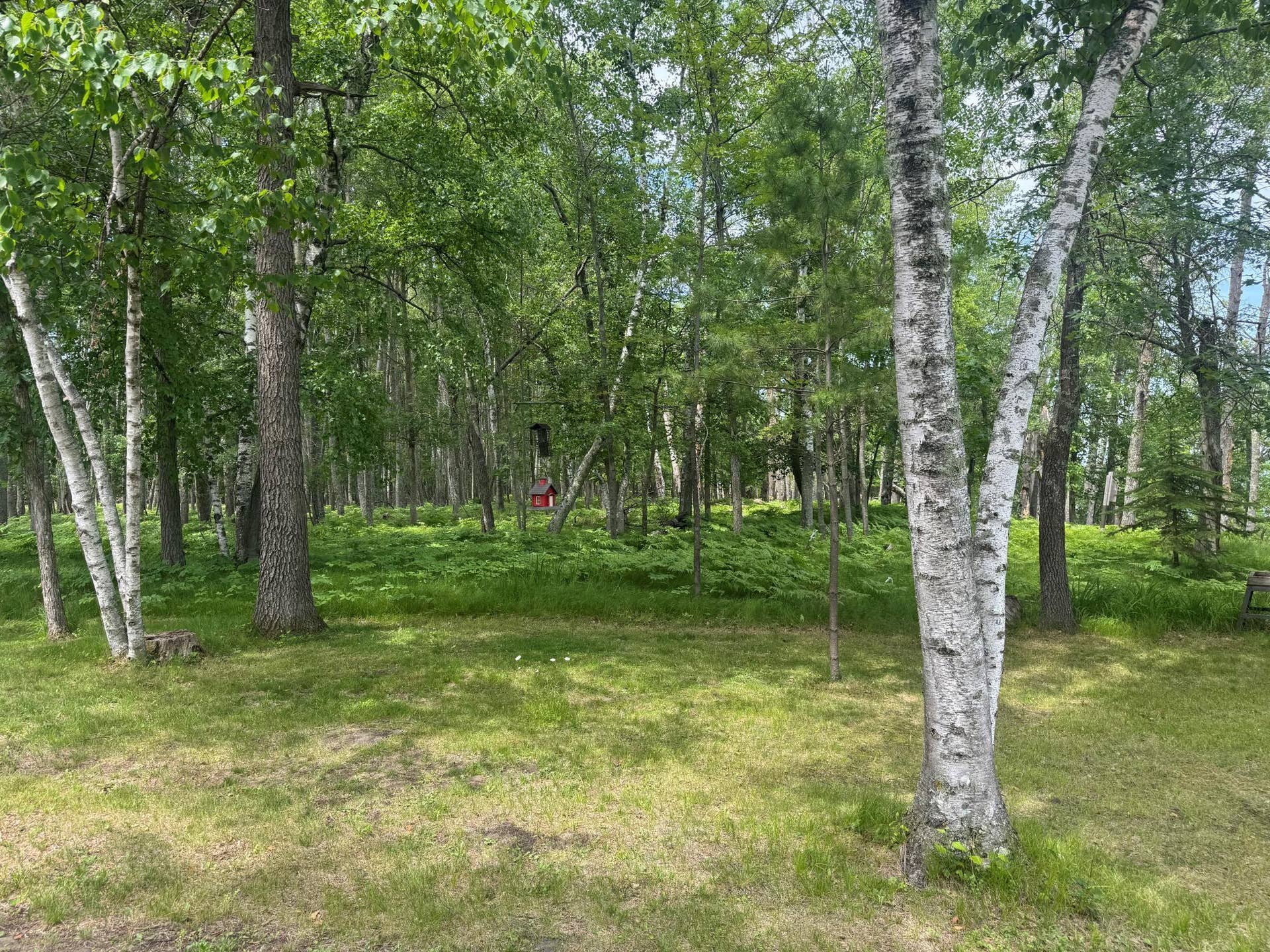 1707 Crosby Court SE, #10, Bemidji, MN 56601 yard.jpg