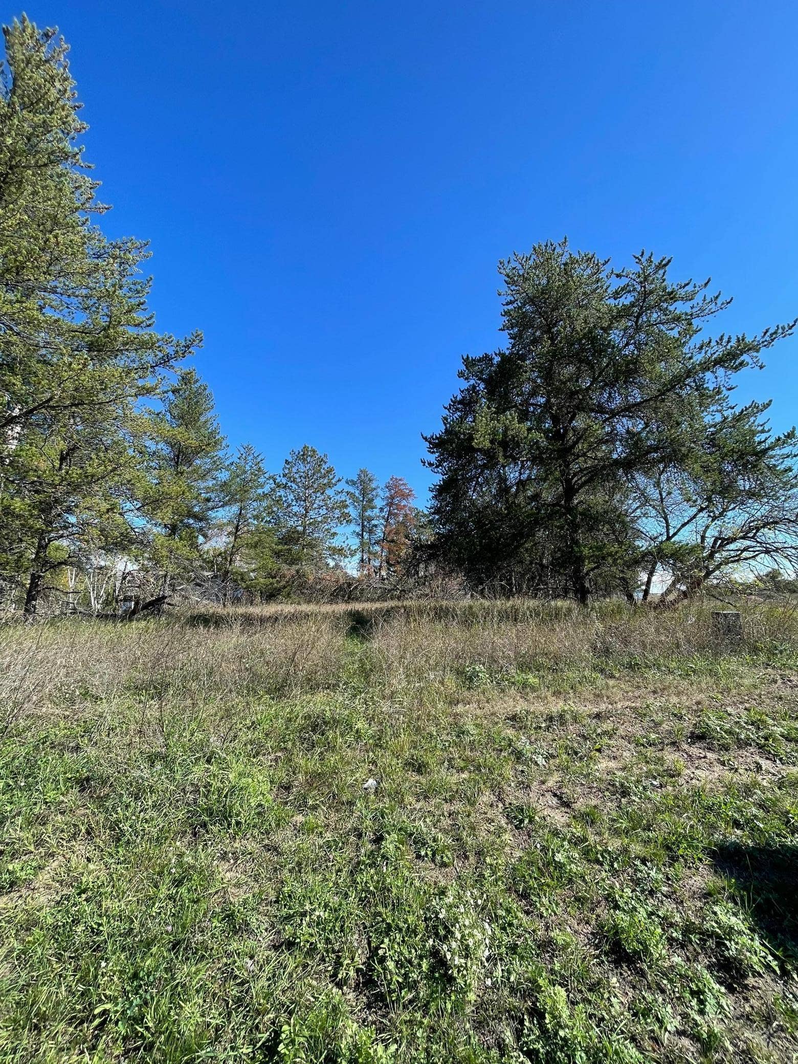 TBD Lot 5 Beartooth Avenue SW, Bemidji, MN 56601 1.jpg