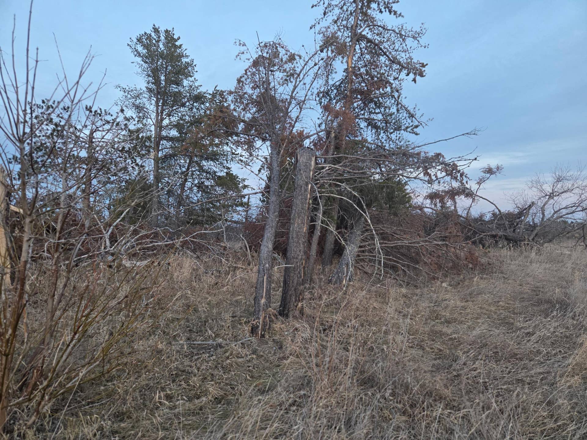 TBD Lot 5 Beartooth Avenue SW, Bemidji, MN 56601 1.jpg