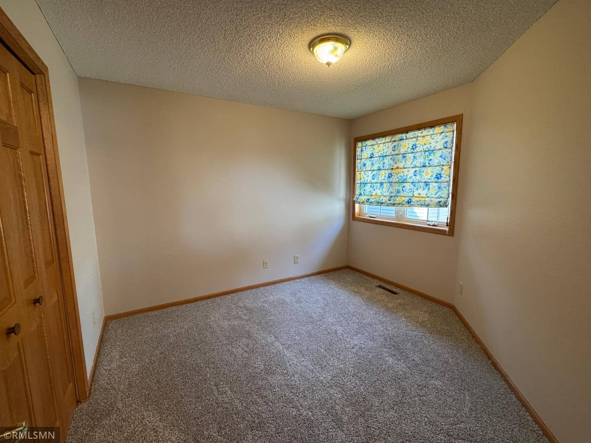 12757 Ferrara Avenue N, Hugo, MN 55038 Front bedroom