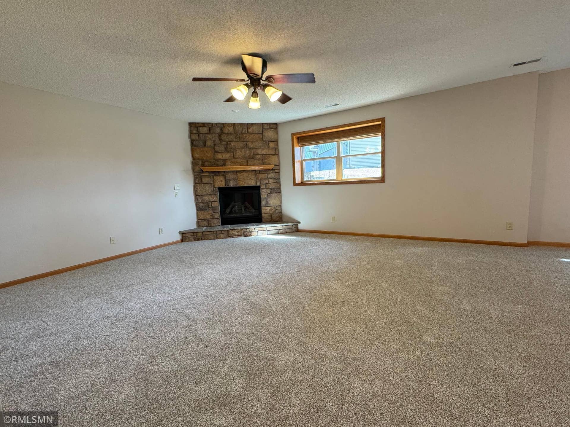12757 Ferrara Avenue N, Hugo, MN 55038 Huge LL Family Room