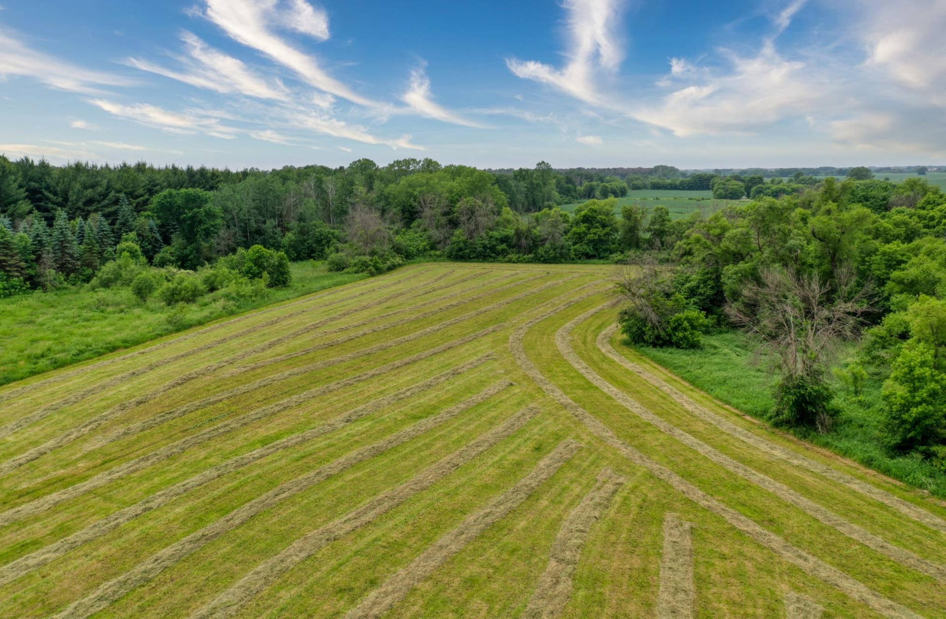 5696 170th Street N, Hugo, MN 55038 DJI_0168.jpg
