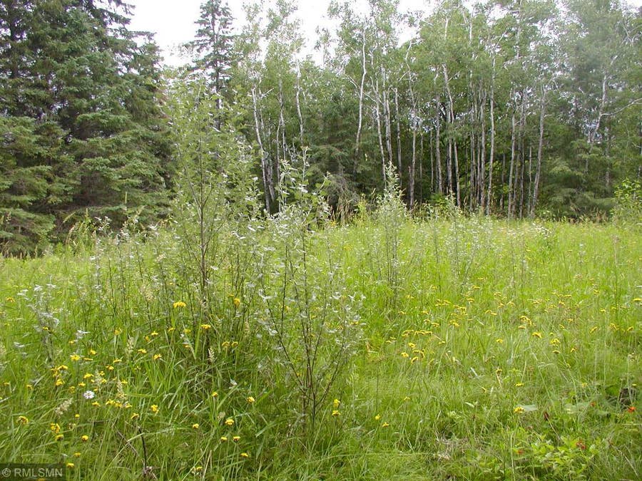 Property photo for 264 Jay Cooke Road, Thomson Twp, MN