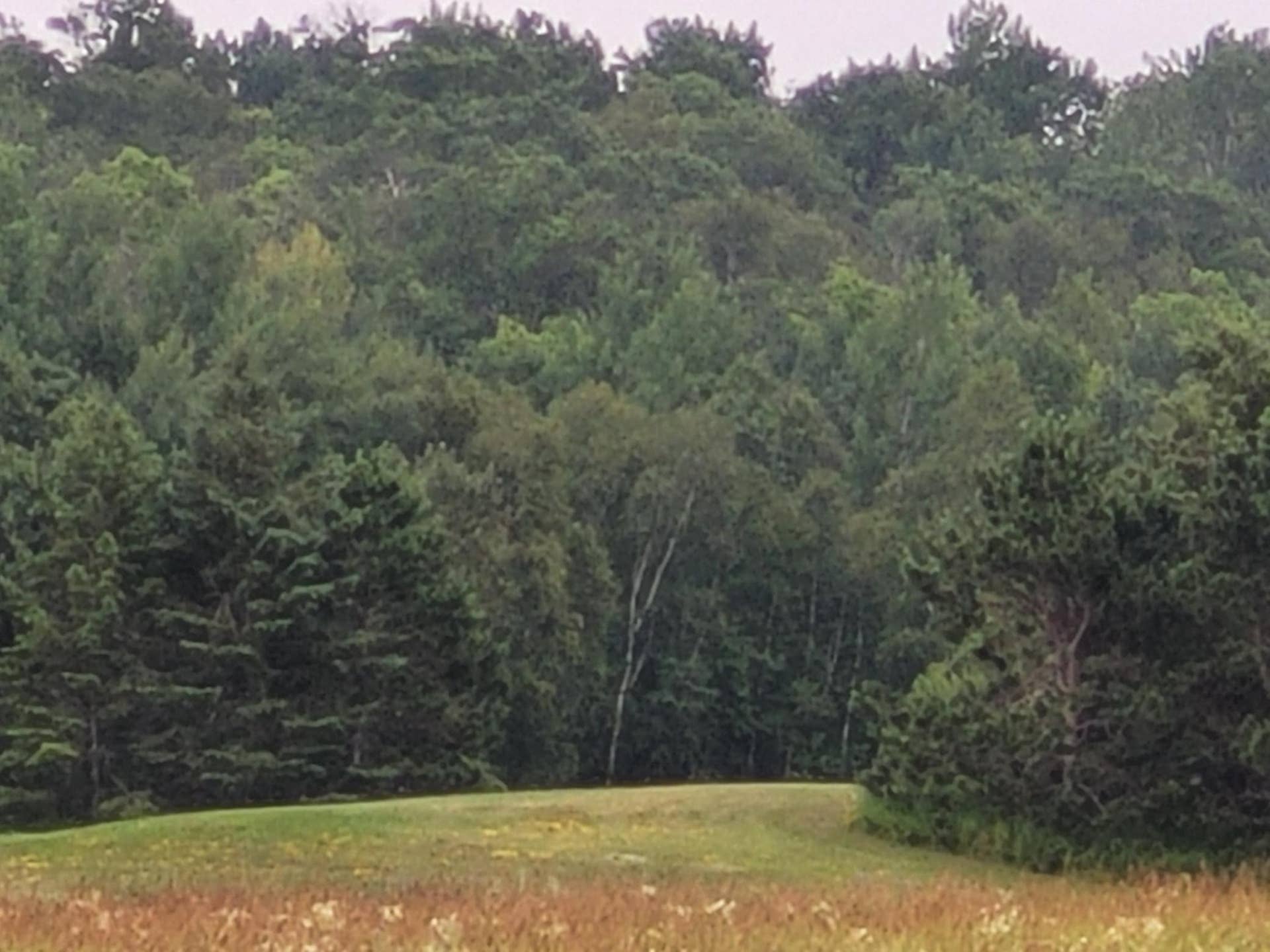 TBD Bakkum Road NE, Bemidji, MN 56601 20240723_090459.jpg
