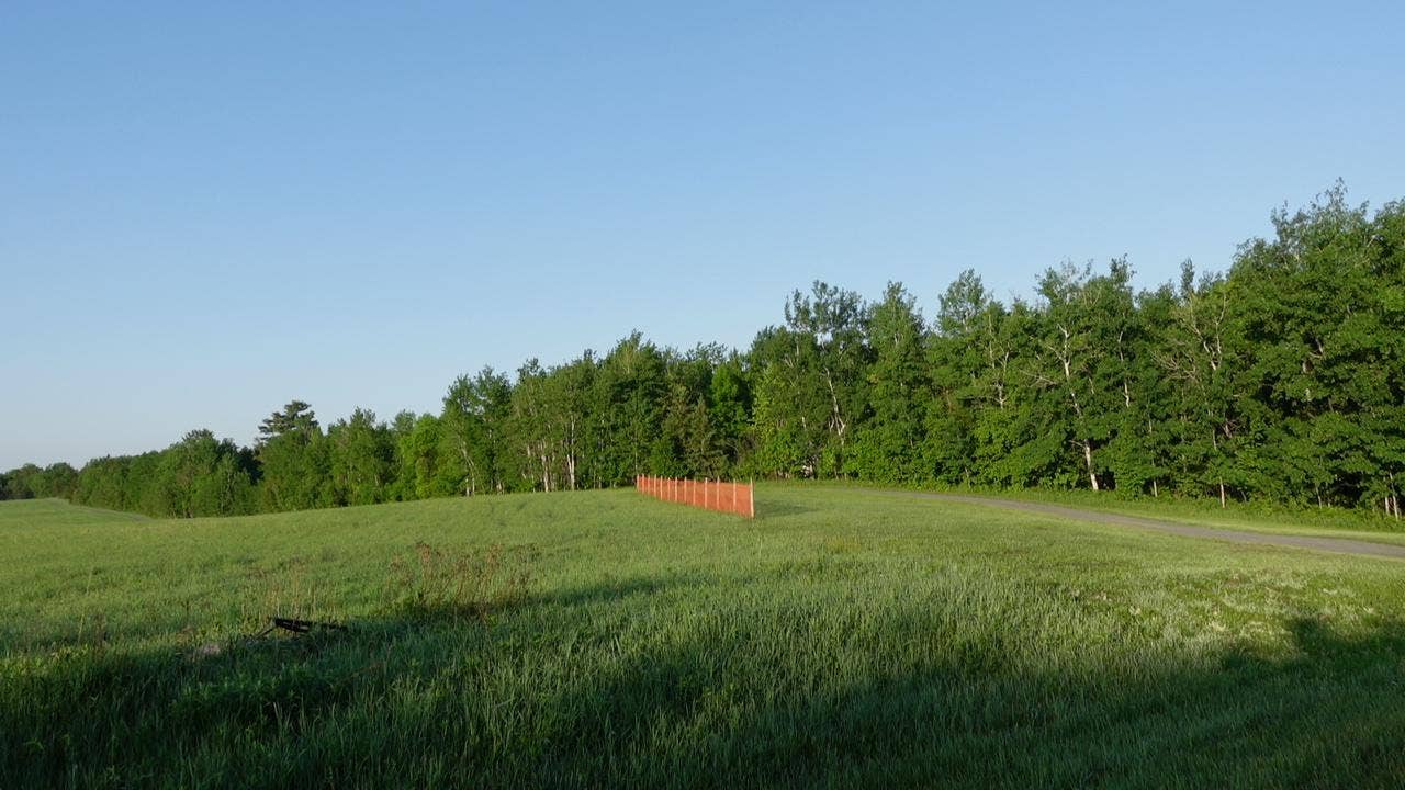 TBD Bakkum Road NE, Bemidji, MN 56601 1.JPG