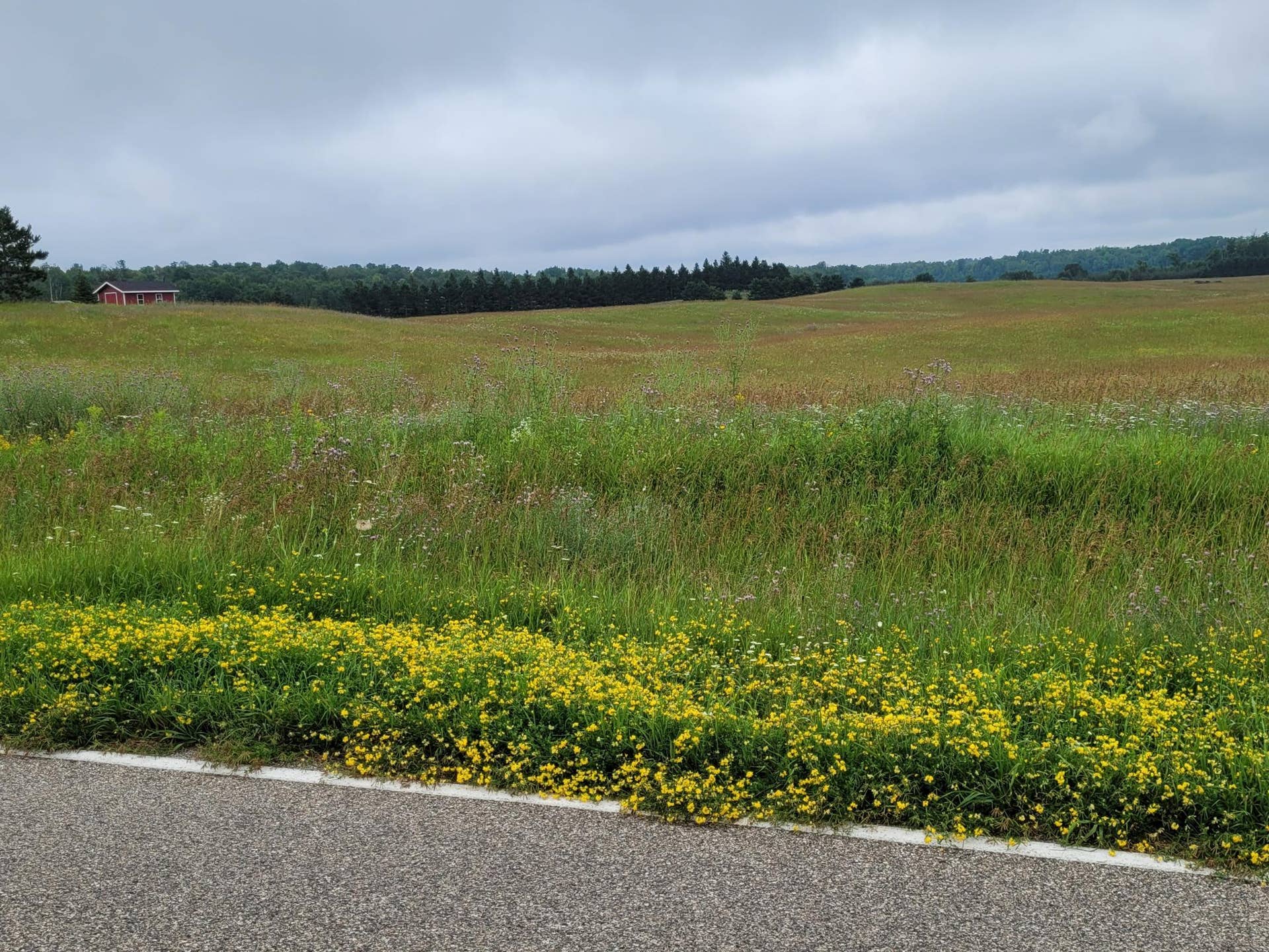 TBD Bakkum Road NE, Bemidji, MN 56601 20240723_090659.jpg