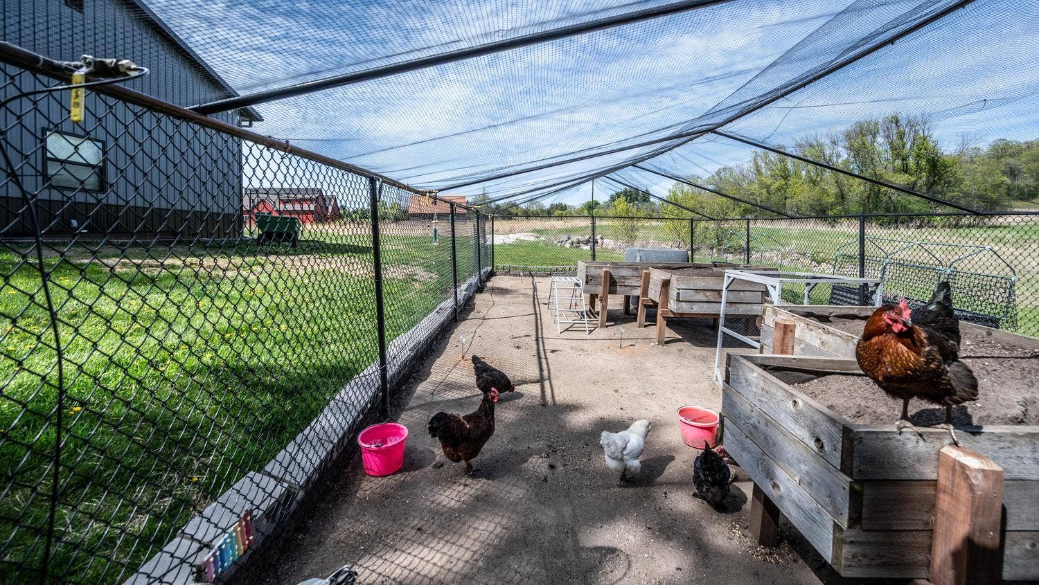 021-114-Hen House-1500x846.jpg