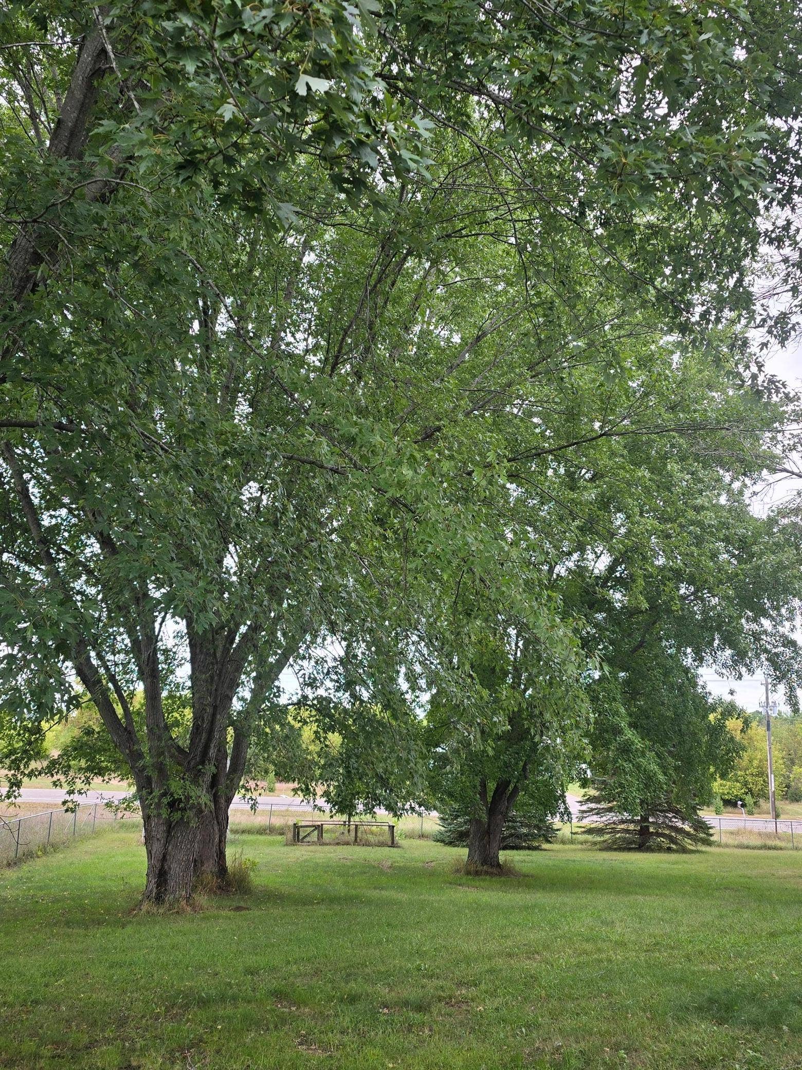 61 212th Lane NW, Cedar, MN 55011 Backyard Photo