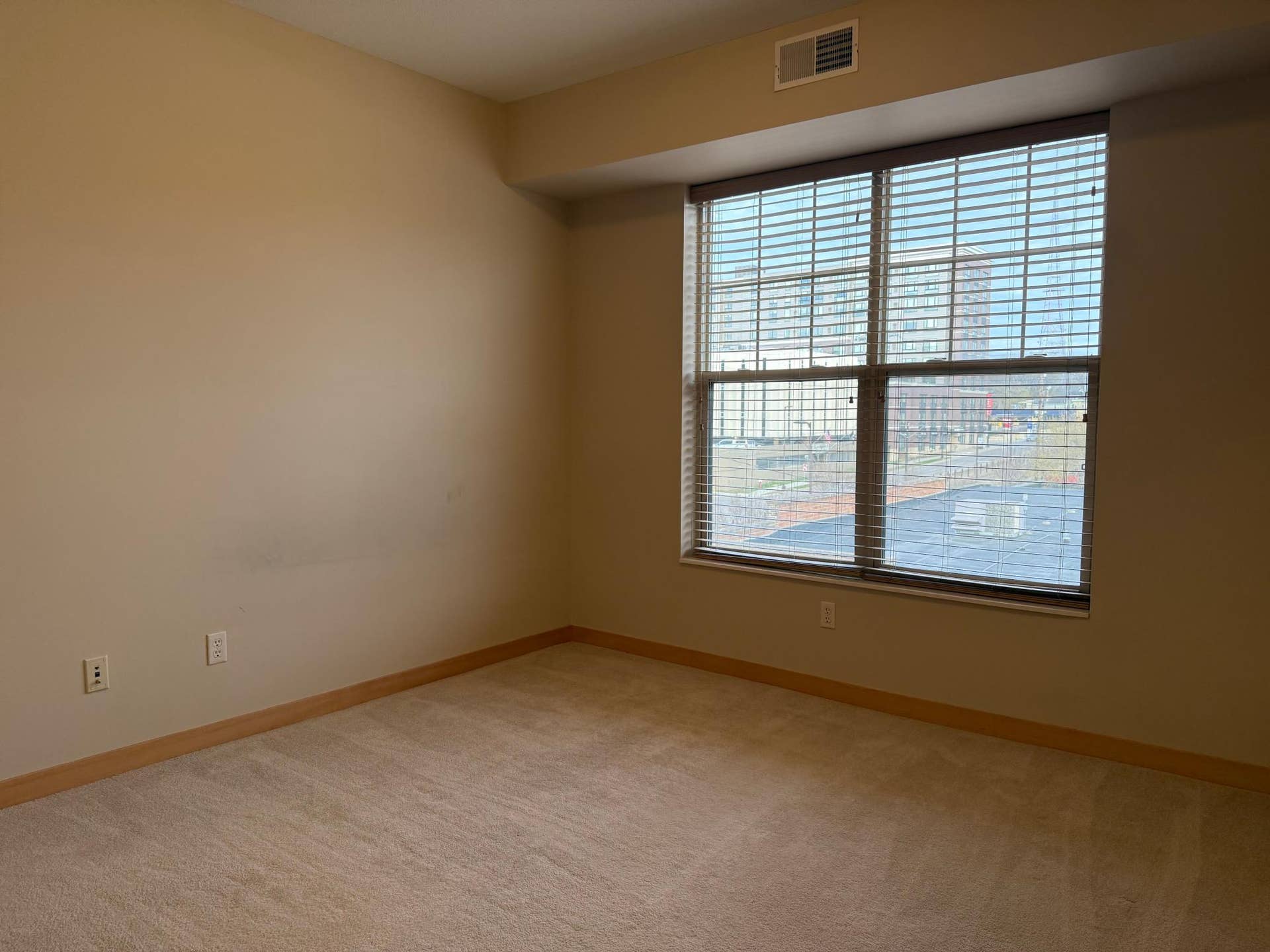2900 University Avenue SE, #402, 65, Minneapolis, MN 55414 IMG_2835.jpeg