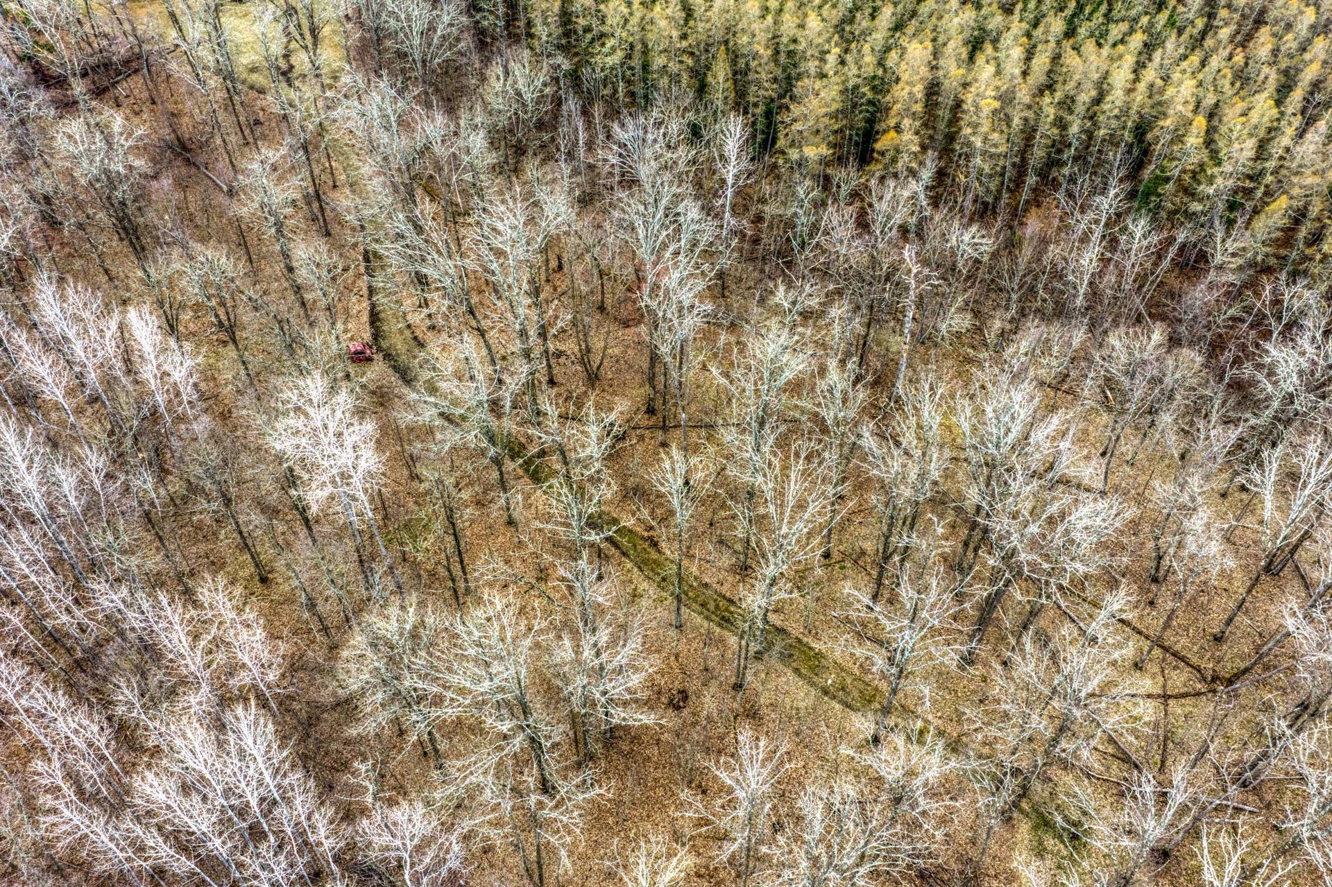 13217 Beaver Road NE, Bemidji, MN 56601 13217 Beaver Road NE, Bemidji, MN 56601