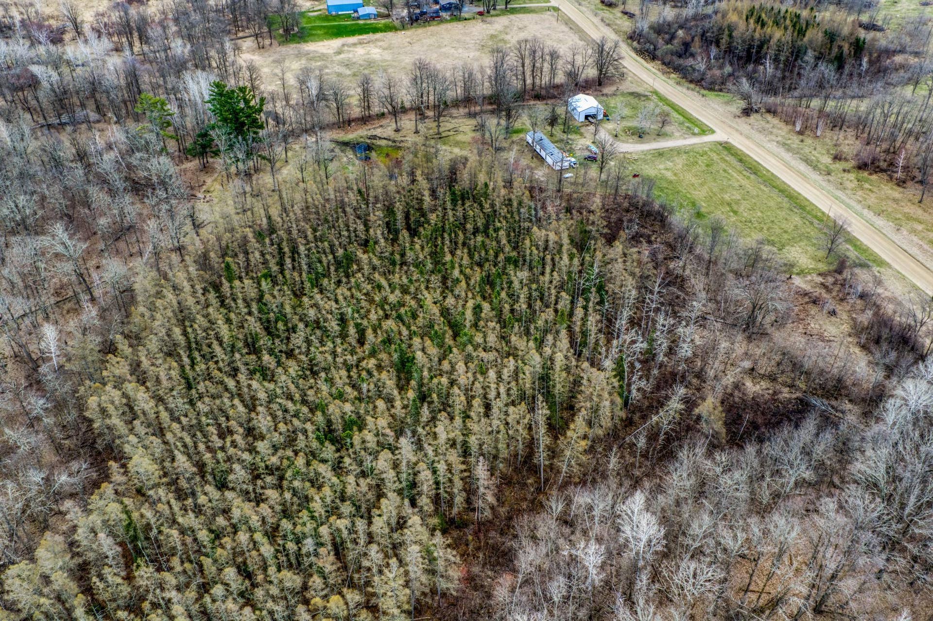 13217 Beaver Road NE, Bemidji, MN 56601 A
