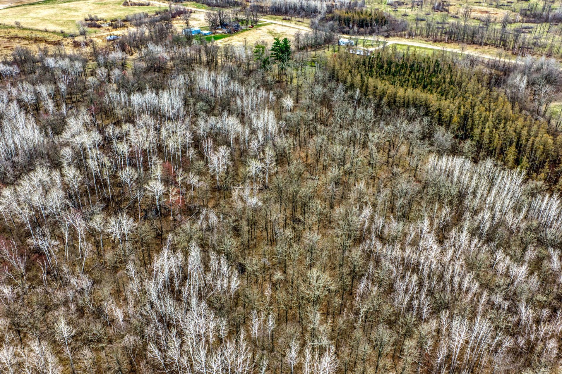 13217 Beaver Road NE, Bemidji, MN 56601 13217 Beaver Road NE, Bemidji, MN 56601