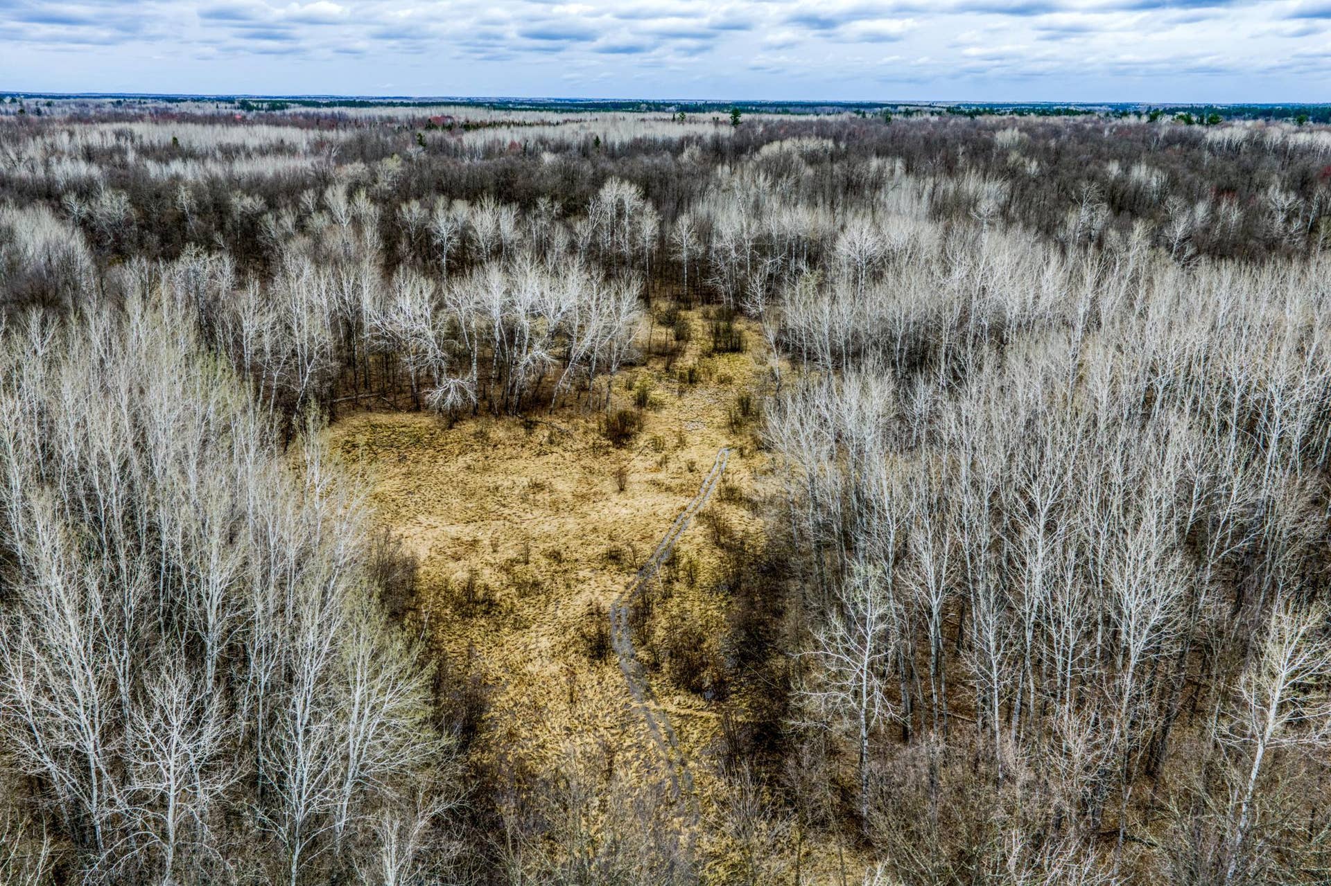 13217 Beaver Road NE, Bemidji, MN 56601 Walk in the woods