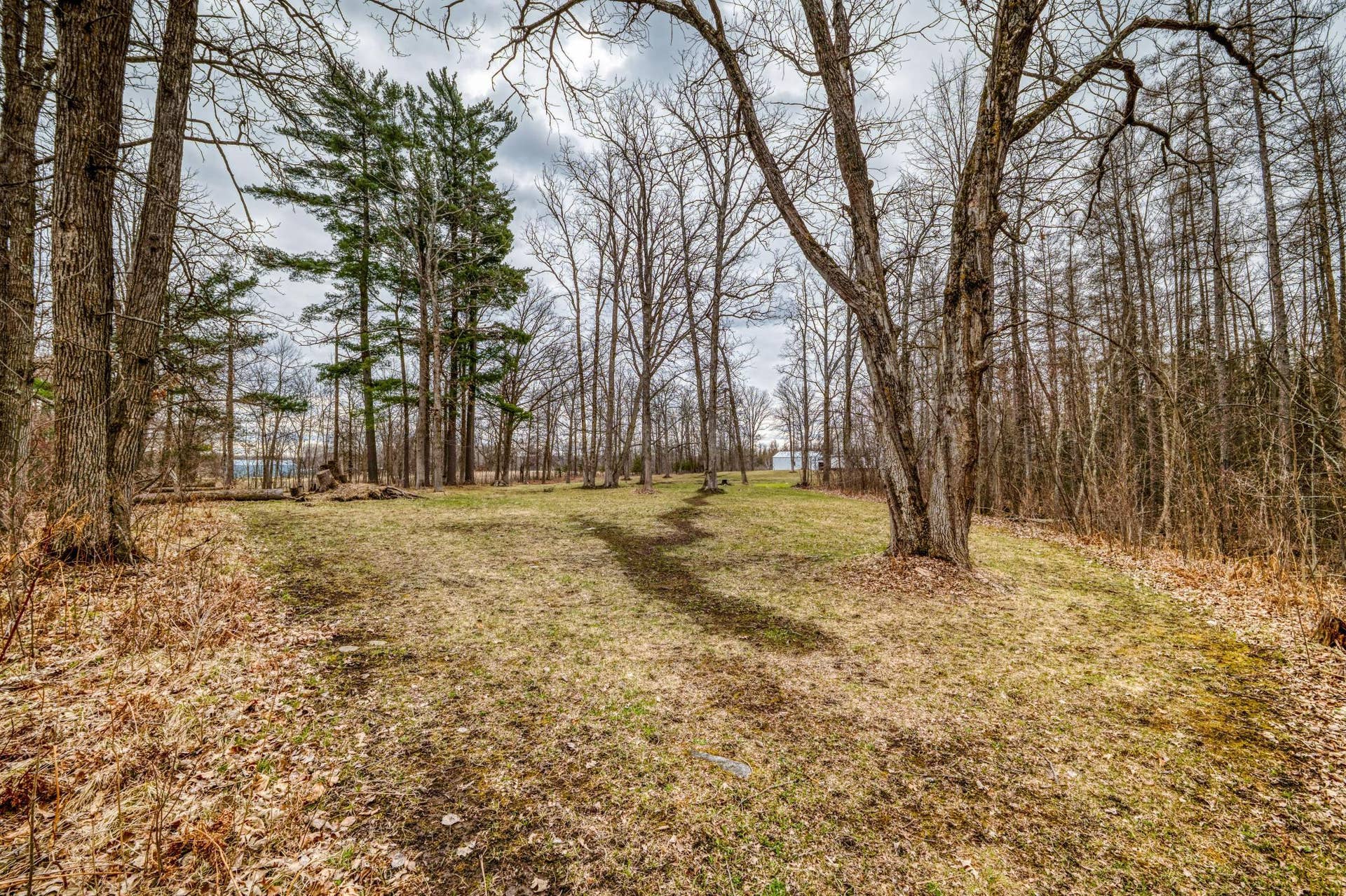 13217 Beaver Road NE, Bemidji, MN 56601 Clearing in the trees