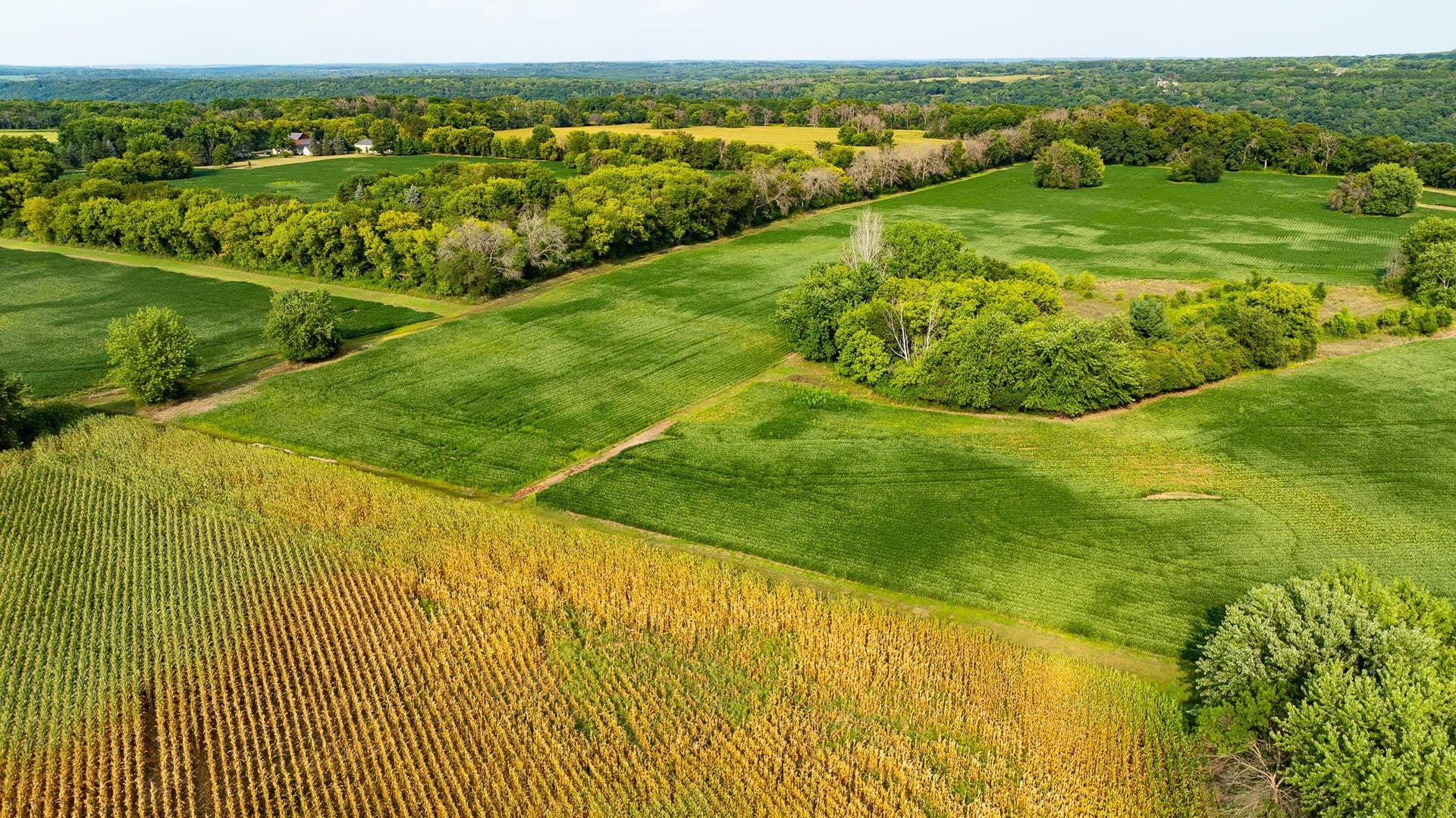 xx6 Quinlan Avenue N, Stillwater, MN 55082 DJI_0337.jpg