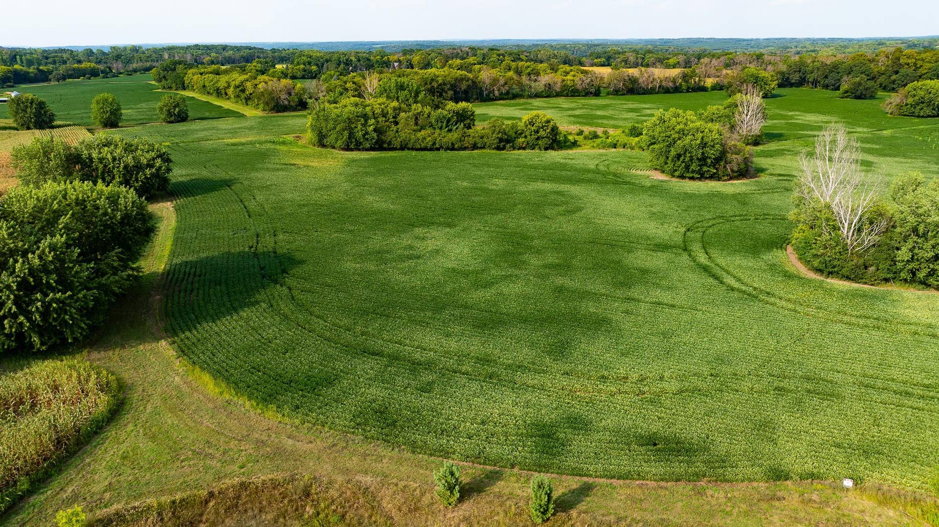 xx6 Quinlan Avenue N, Stillwater, MN 55082 DJI_0335.jpg