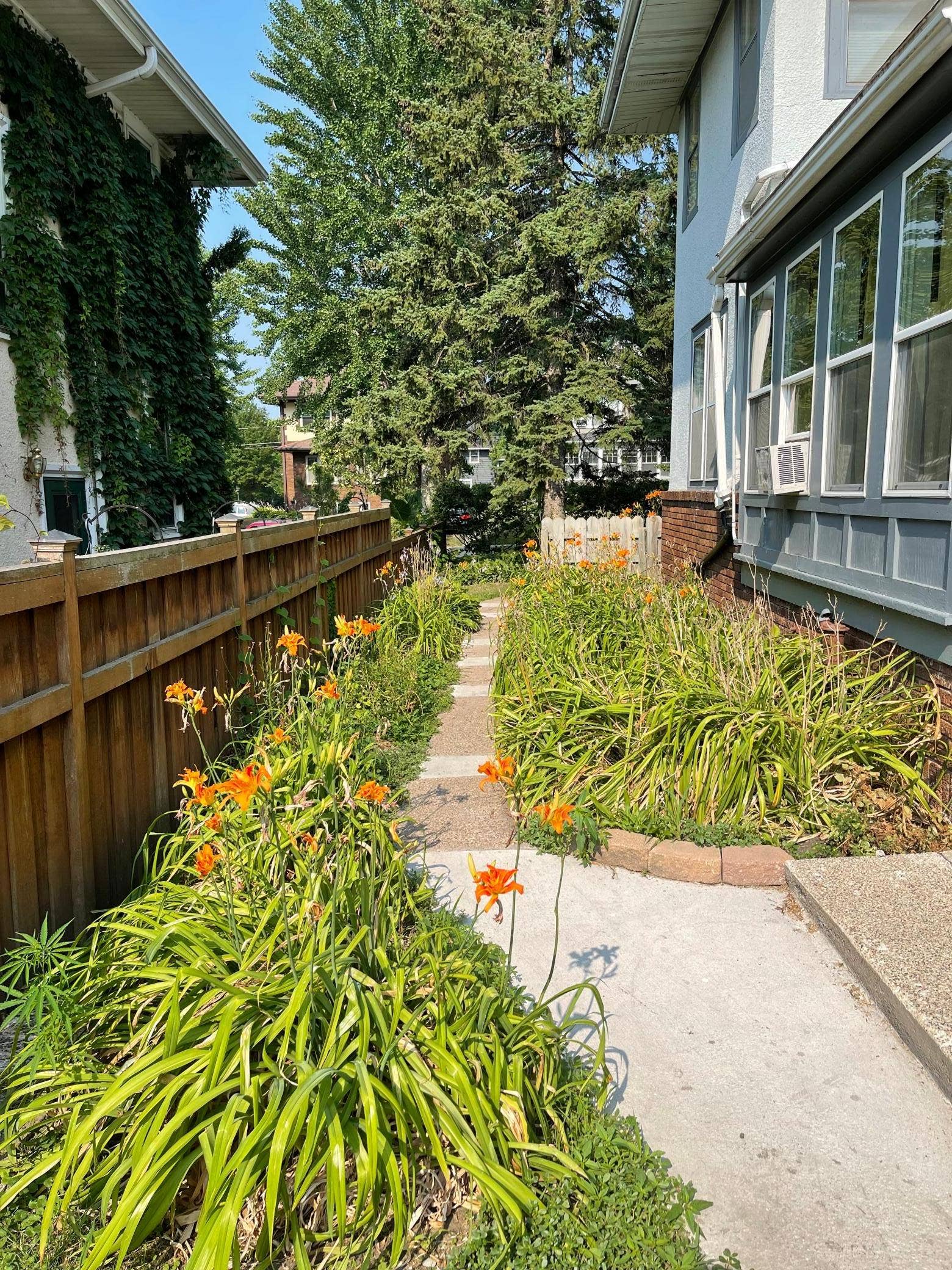 258 Macalester Street, 95, Saint Paul, MN 55105 258 Macalester Street, 95, Saint Paul, MN 55105