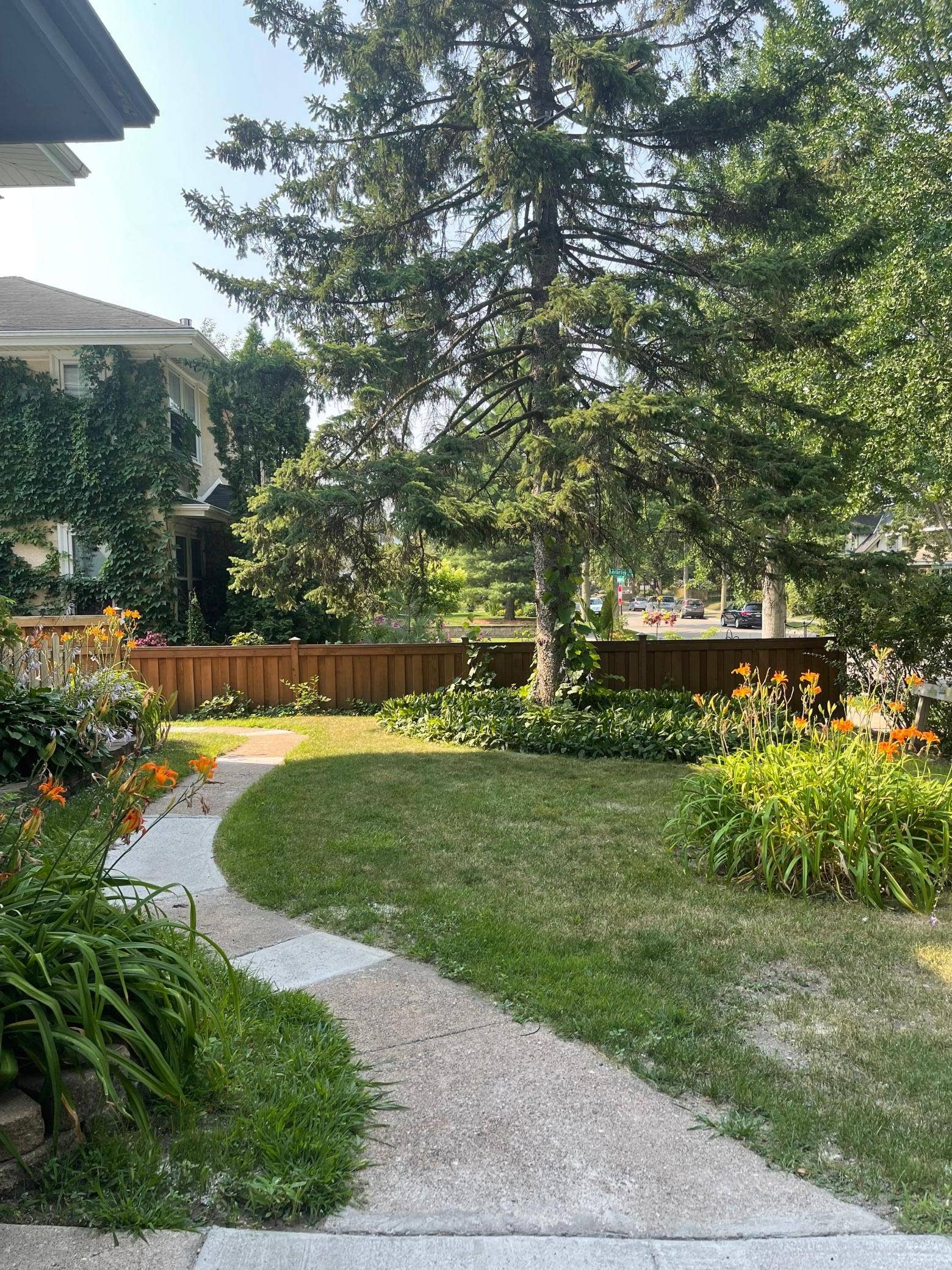 258 Macalester Street, 95, Saint Paul, MN 55105 258 Macalester Street, 95, Saint Paul, MN 55105