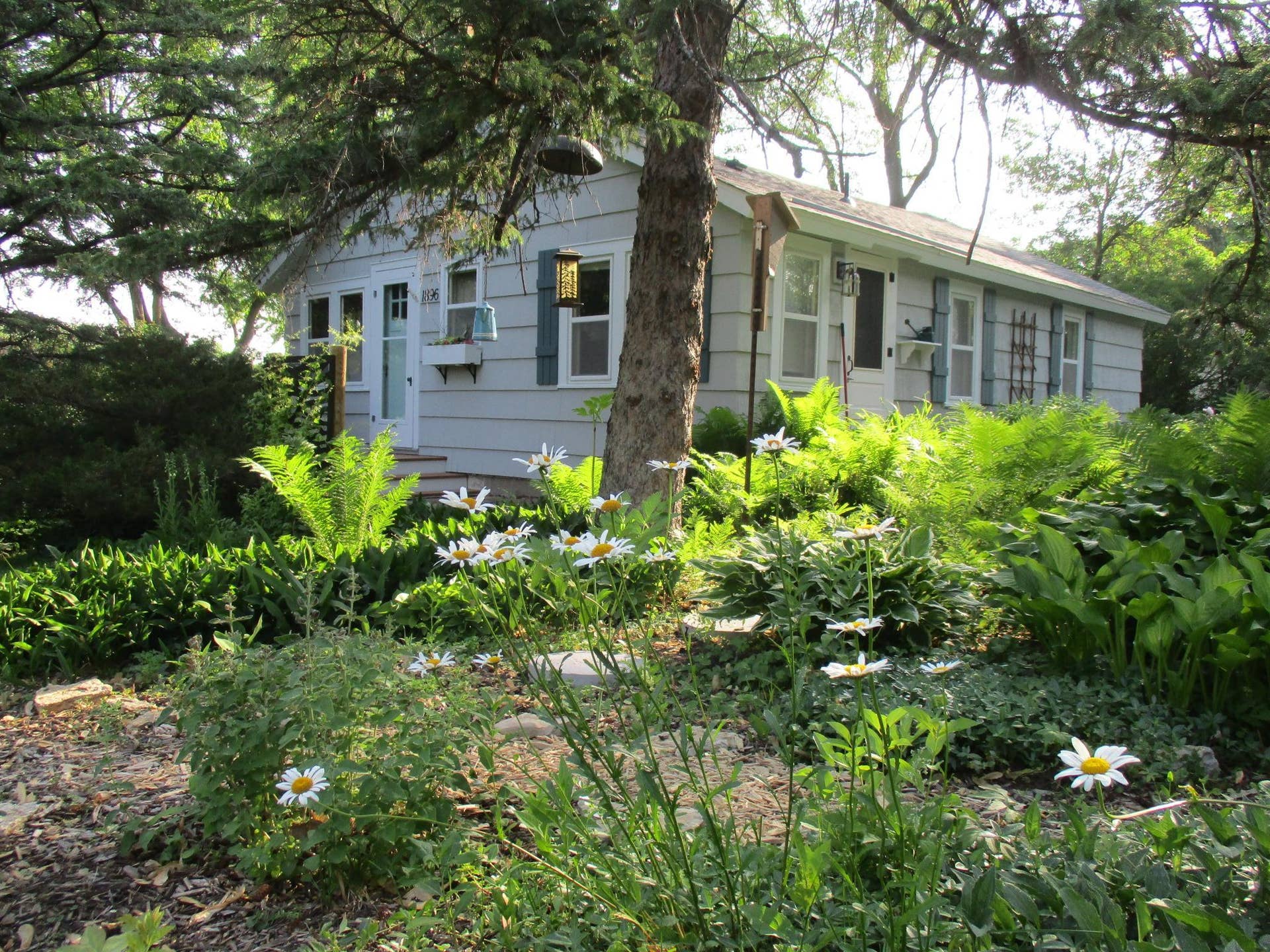1896 Walter Street, Maplewood, MN 55109 0-2021-05-09_075404.jpg