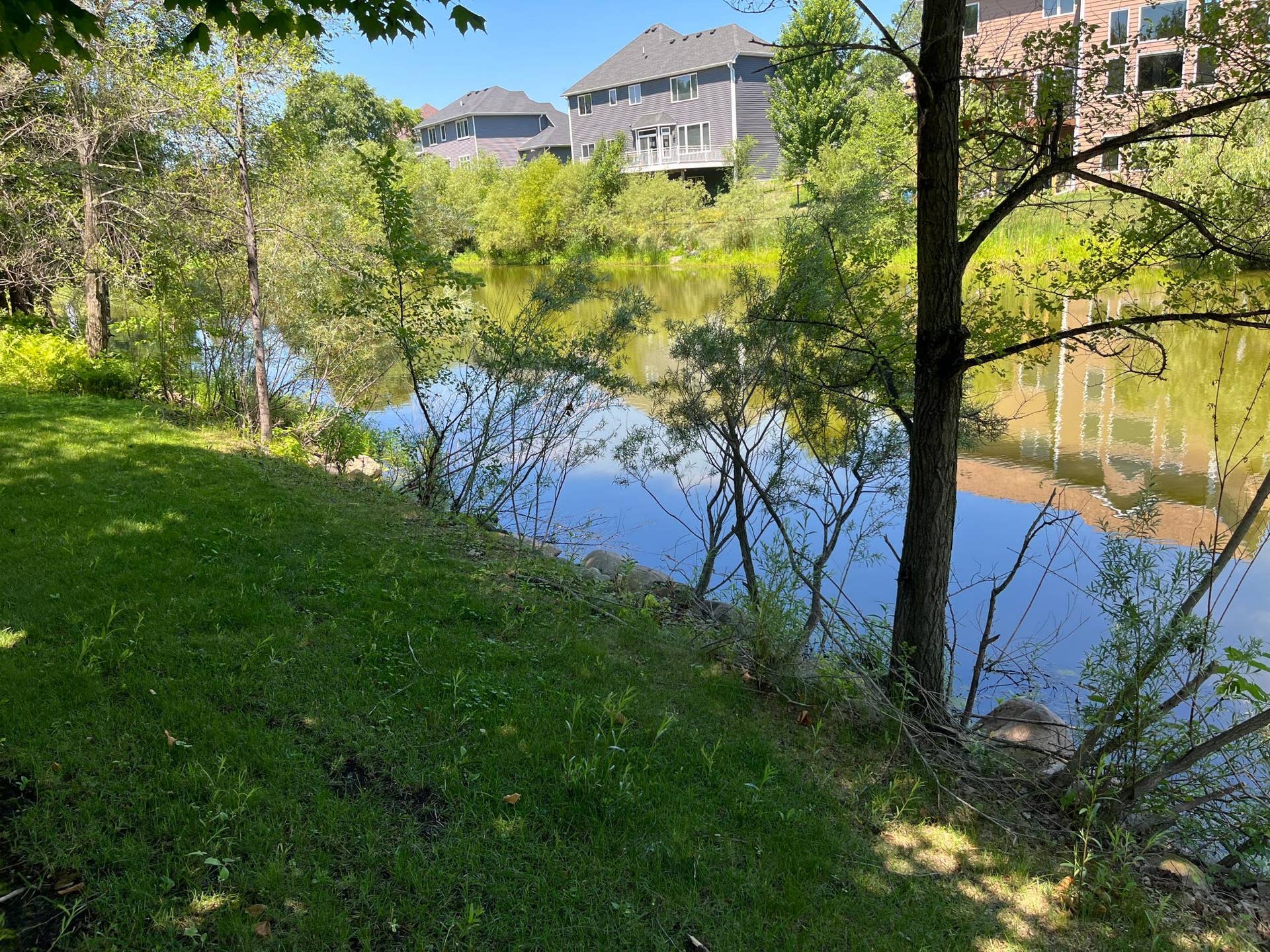 GORGEOUS POND
