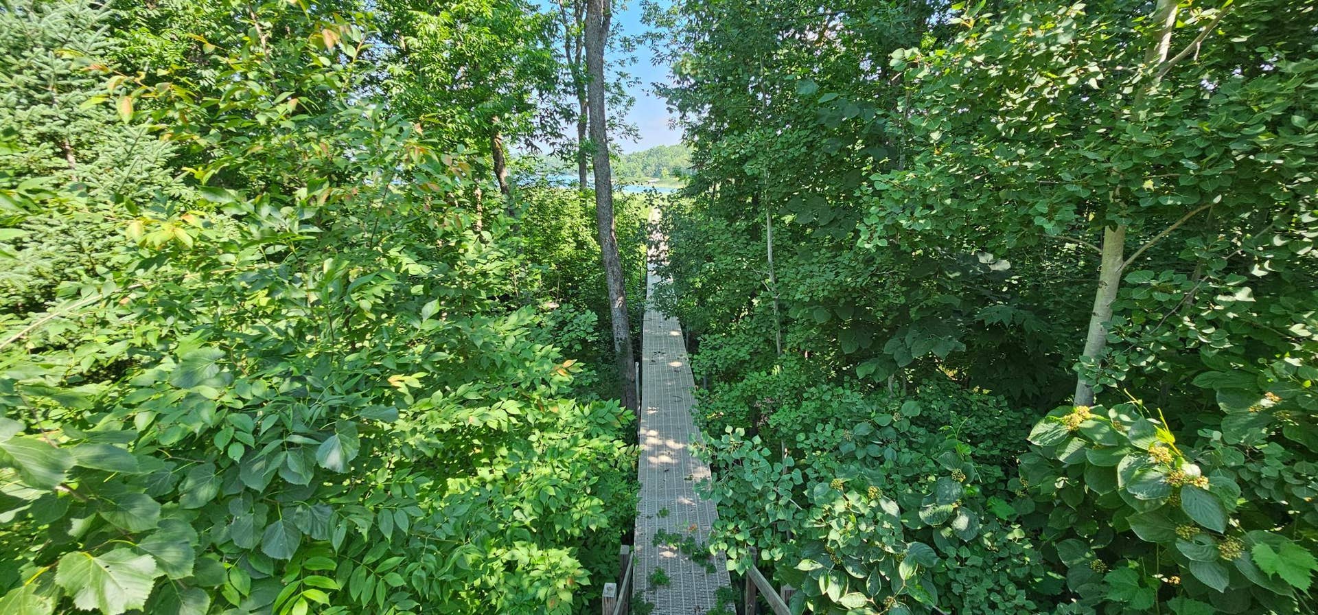 1735 Arborvitae Lane NE, Bemidji, MN 56601 20260727_111520.jpg
