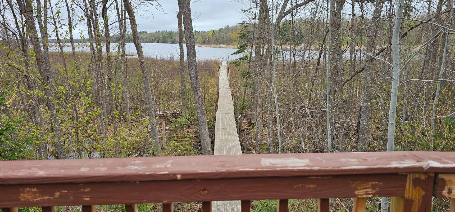 1735 Arborvitae Lane NE, Bemidji, MN 56601 20260518_100837.jpg