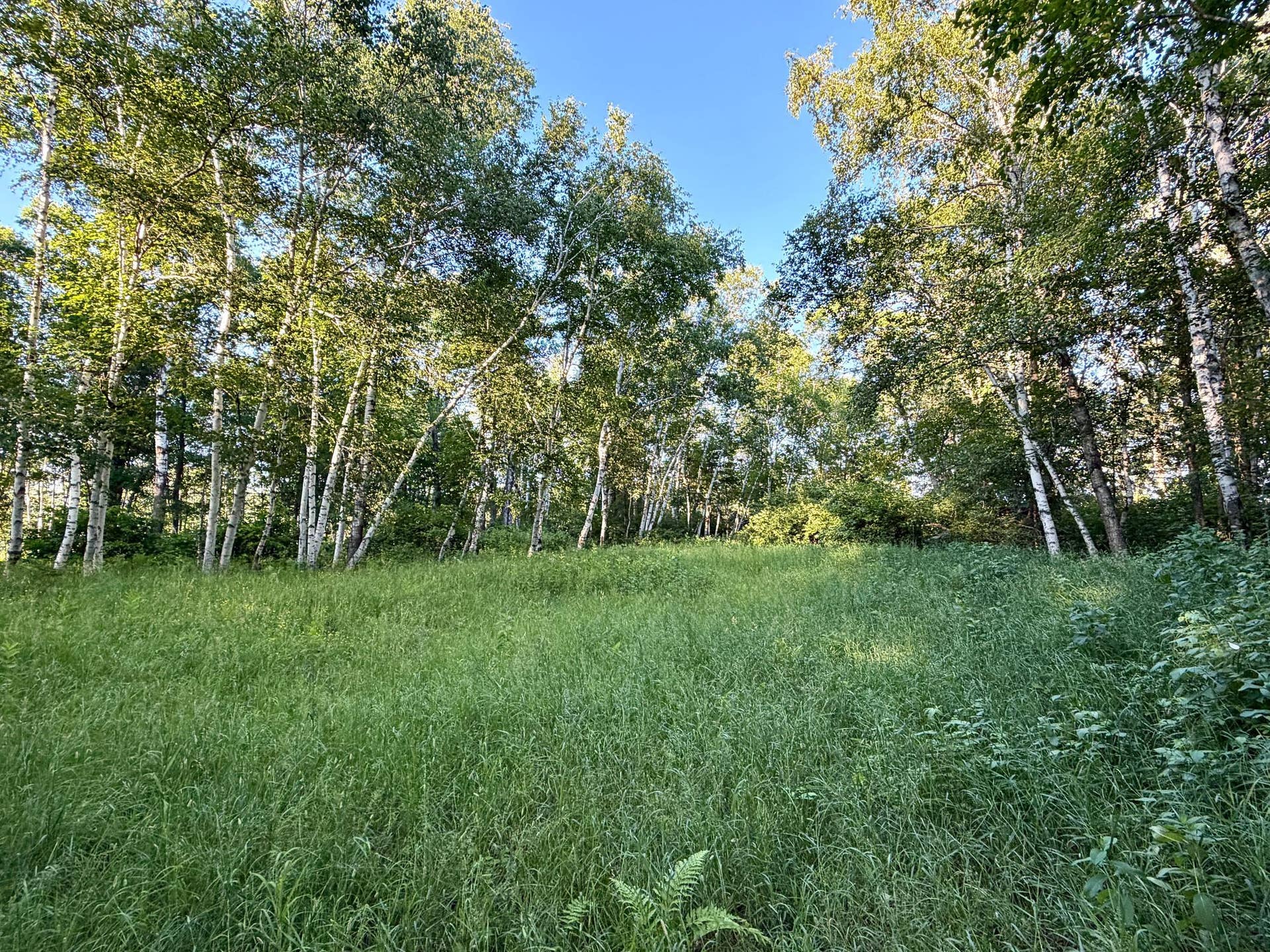 L17B1 Acorn Ridge Road NW, Bemidji, MN 56601 IMG_1340.JPG