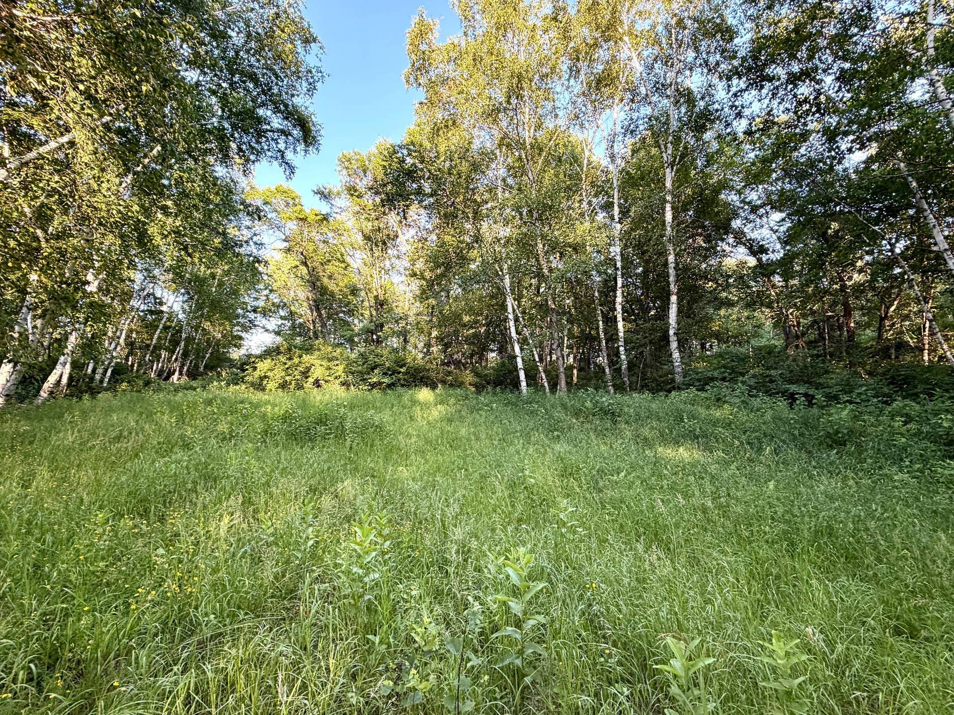 L17B1 Acorn Ridge Road NW, Bemidji, MN 56601 IMG_1341.JPG