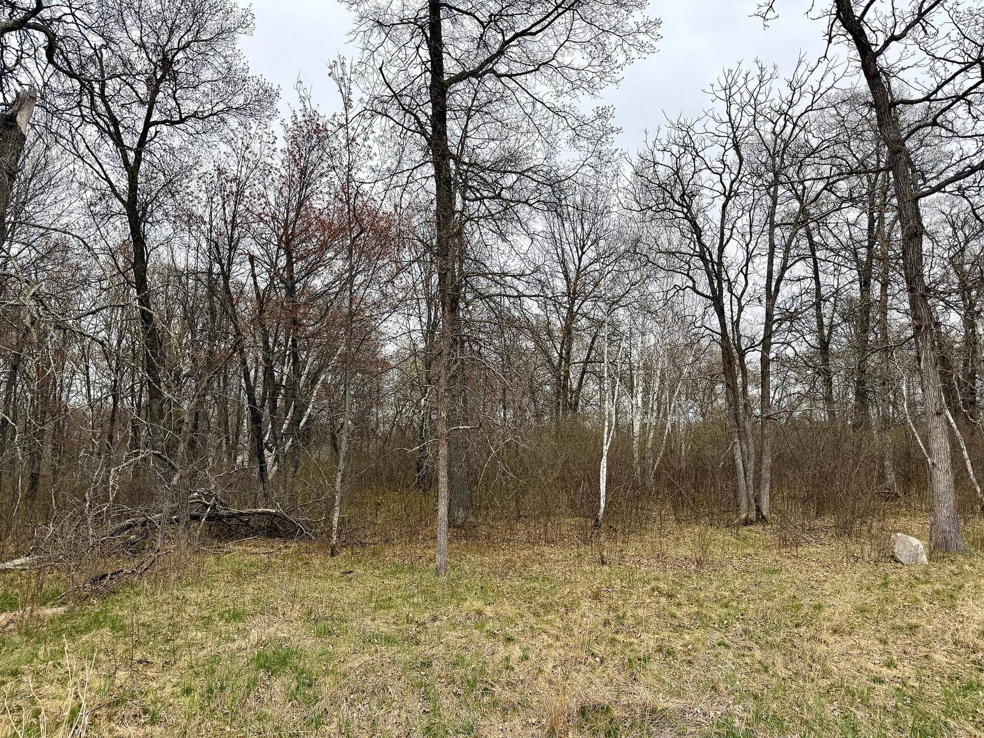 1+ Acres.jpeg
