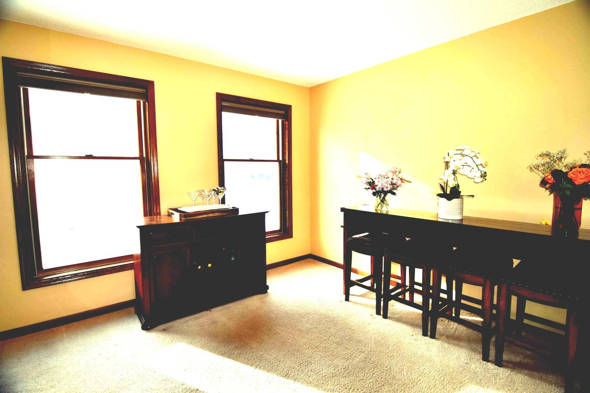 5410 S Park Drive, Savage, MN 55378 DSC_4900.JPG
