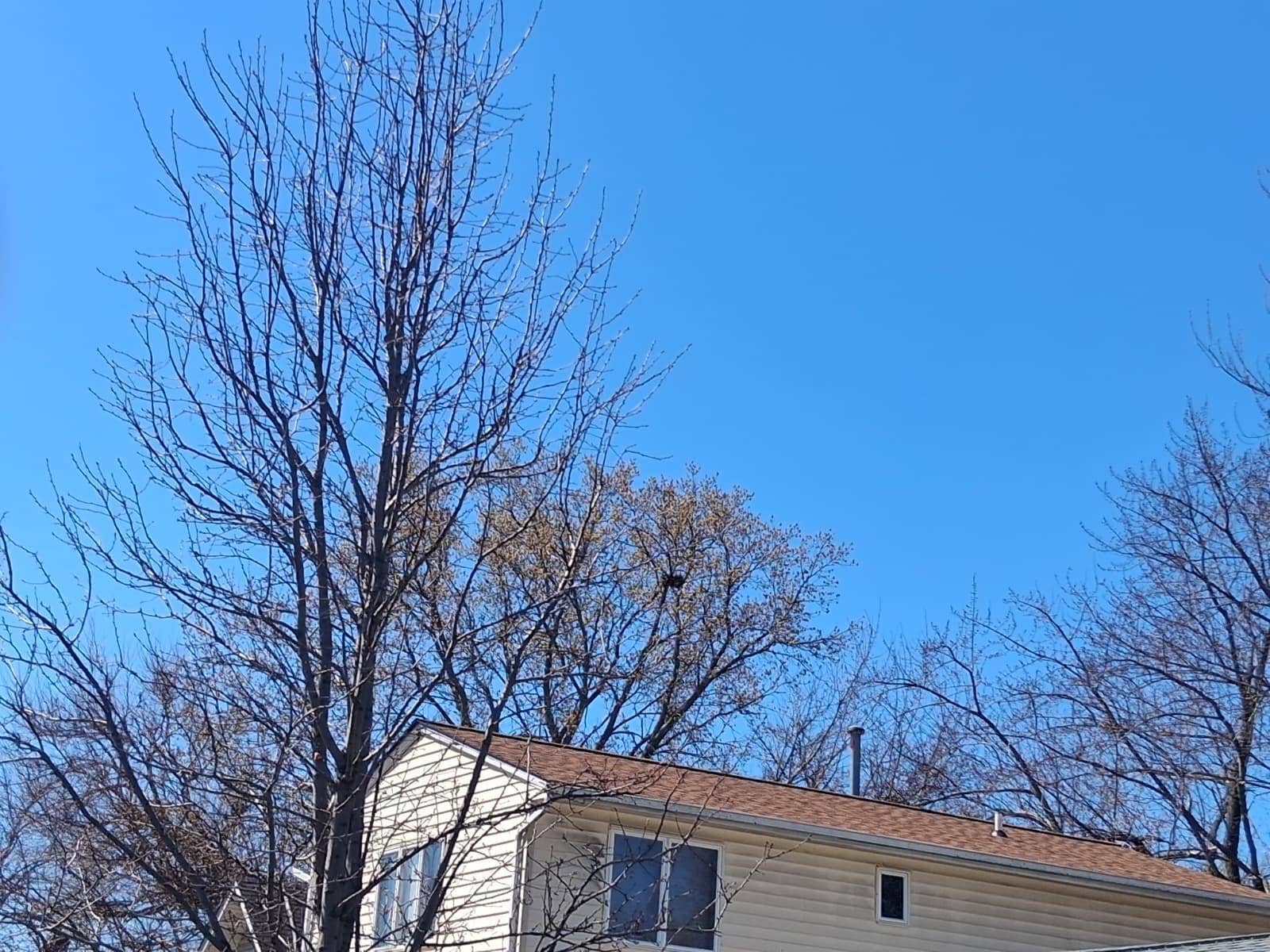 4245 Welcome Avenue N, Crystal, MN 55422 IMG-20260416-WA0001.jpg