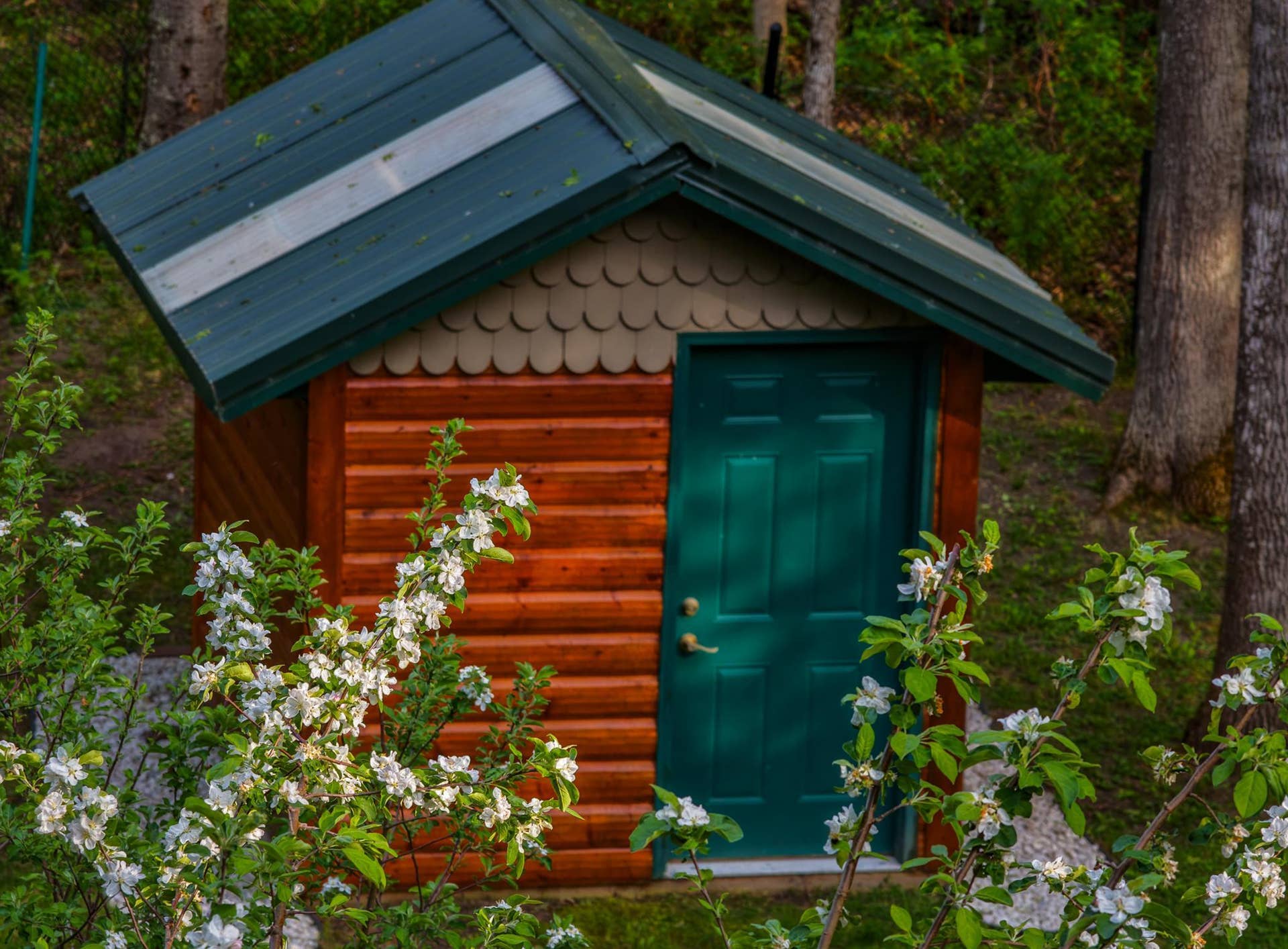 104 6th Street SE, Bemidji, MN 56601 ME_TurtleRiverLake-4.jpg