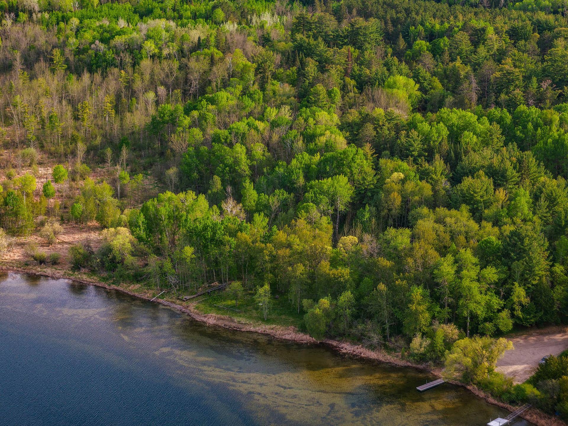 104 6th Street SE, Bemidji, MN 56601 ME_TurtleRiverLake-25.jpg
