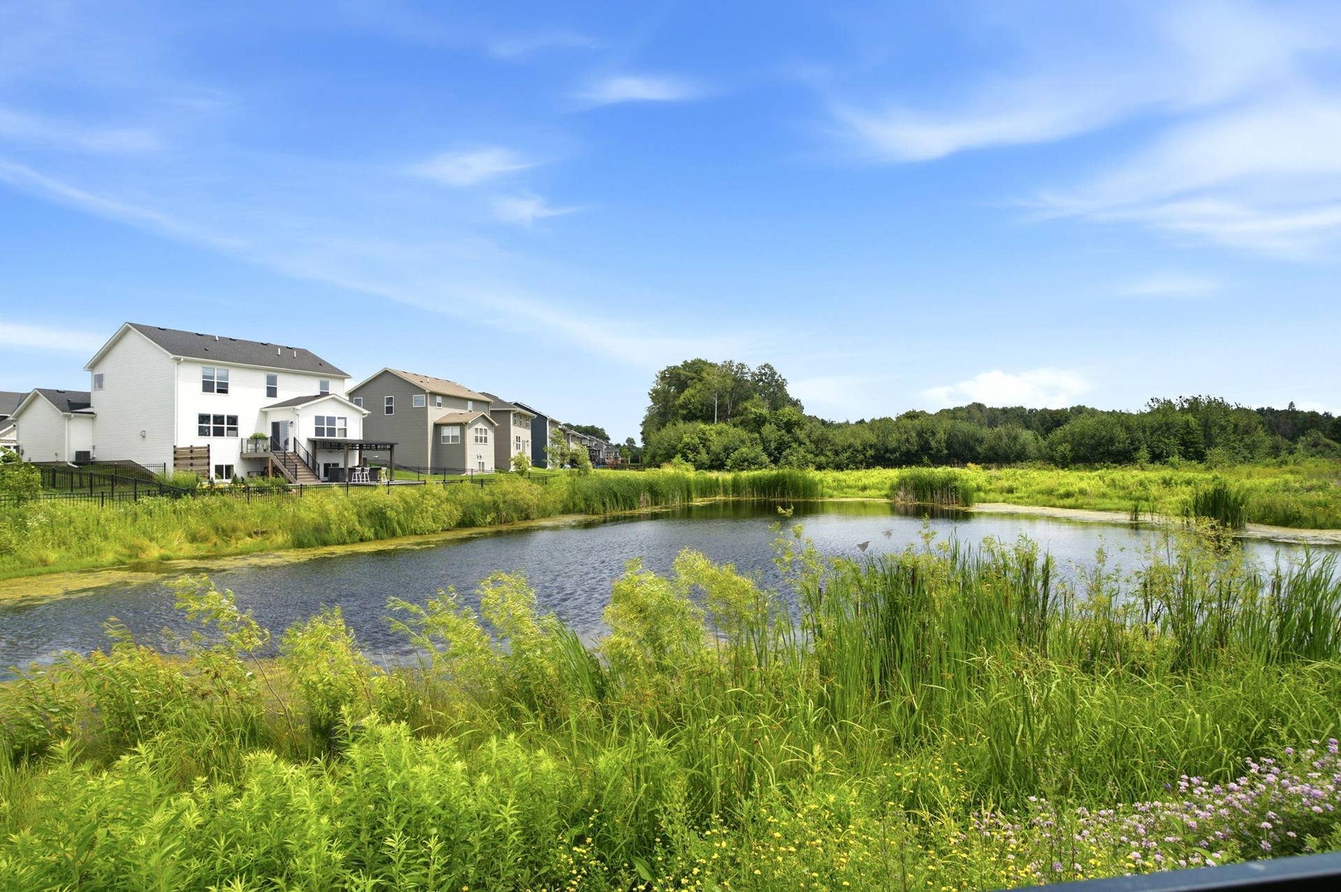 12839 Fraizer Street NE, Blaine, MN 55449 48-web-or-mls-050_DSC00902.jpg