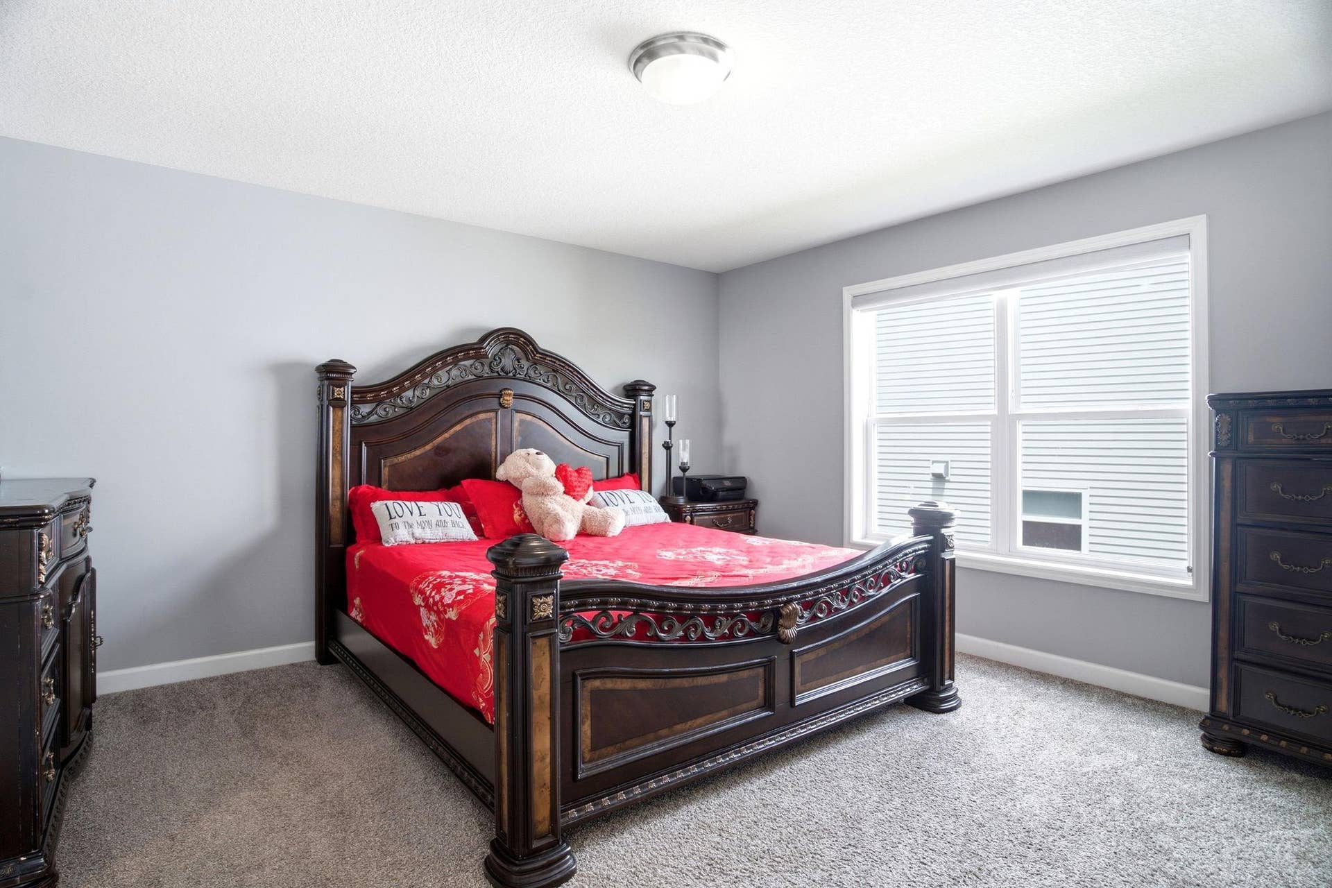 12839 Fraizer Street NE, Blaine, MN 55449 25-web-or-mls-037_DSC00839.jpg