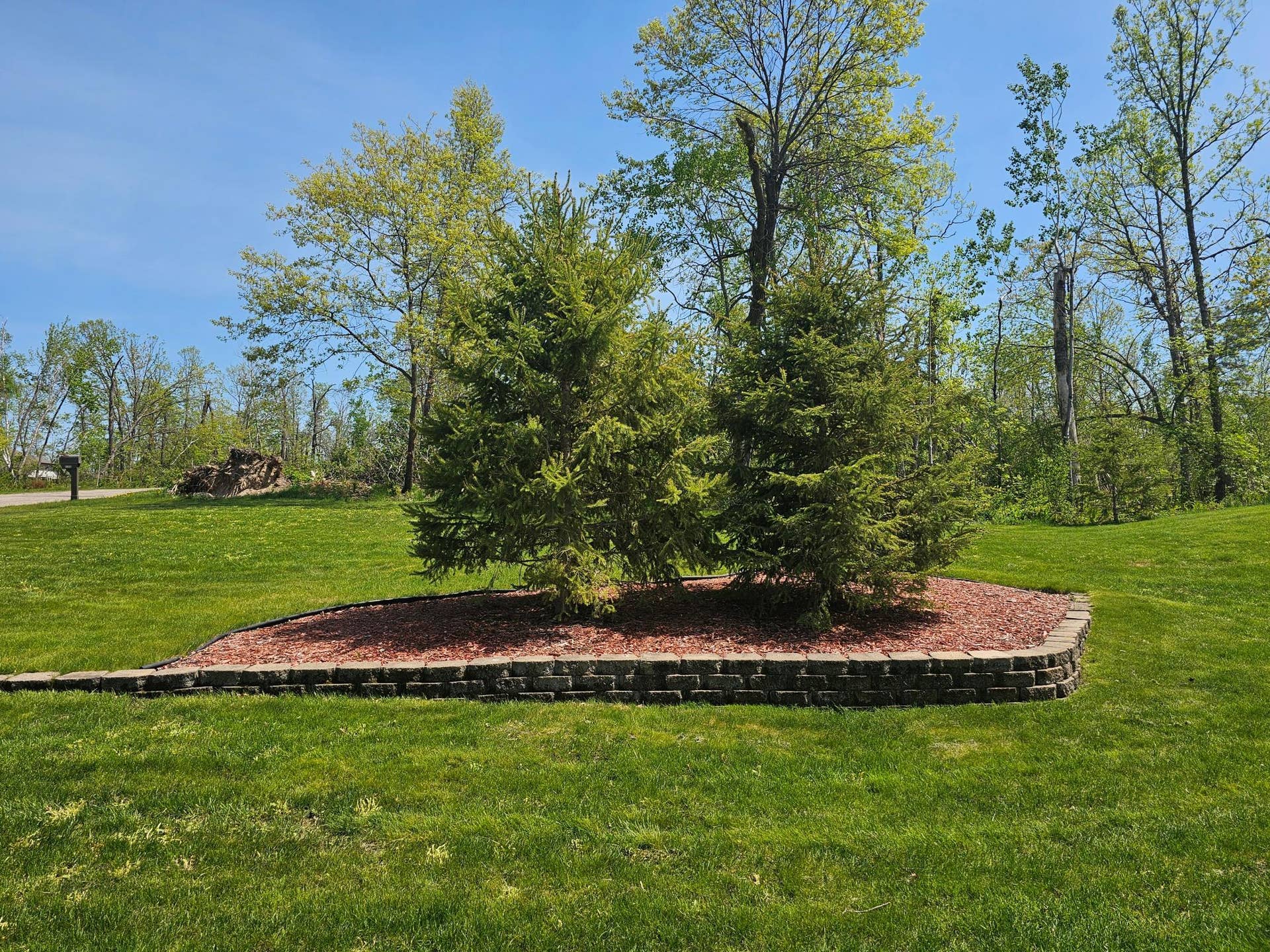 3110 Saint Onge Drive NE, Bemidji, MN 56601 Trees and Edging.jpg